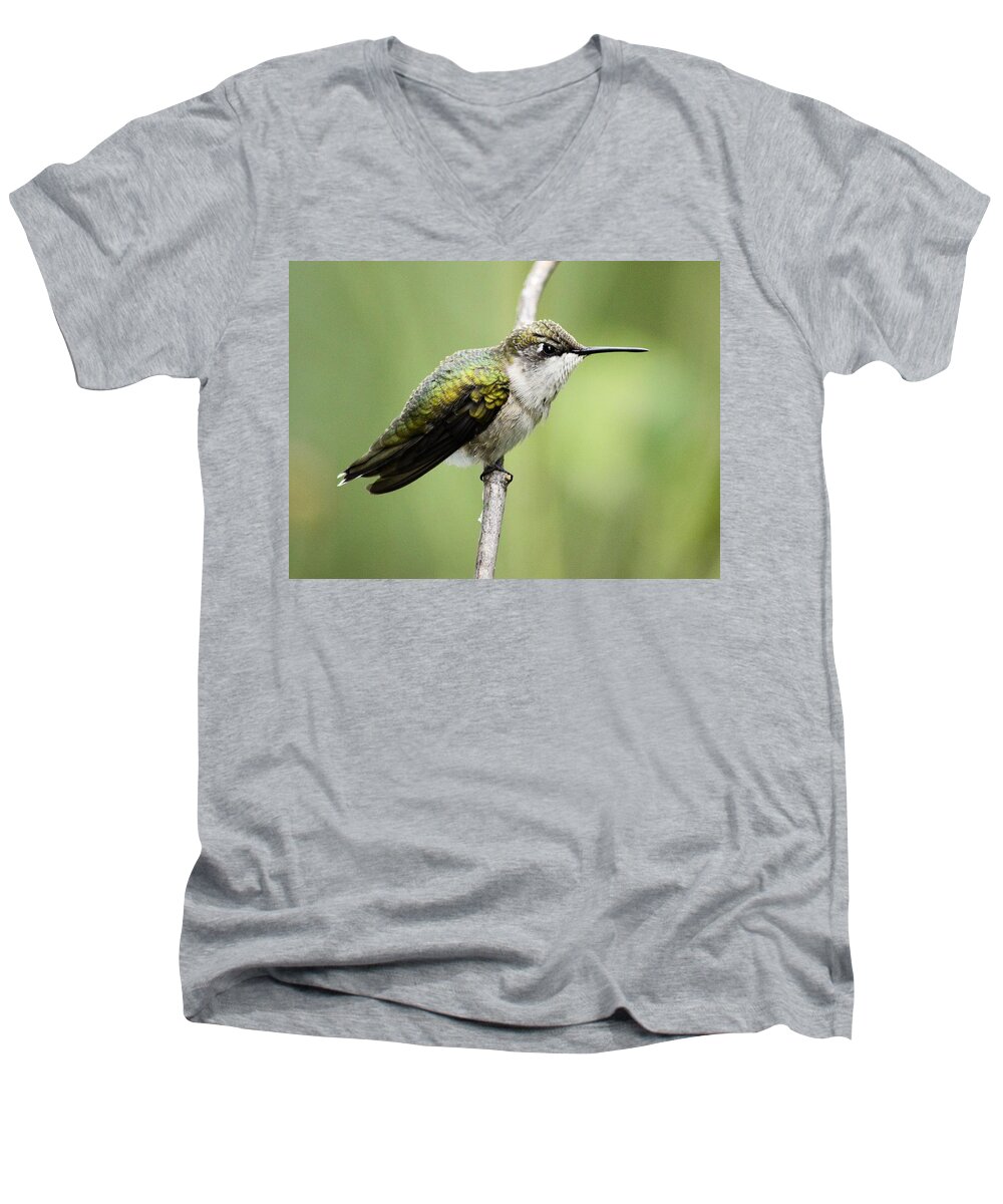 Hummingbird Men's V-Neck T-Shirt featuring the photograph Hummingbird 3 by Bonfire Photography