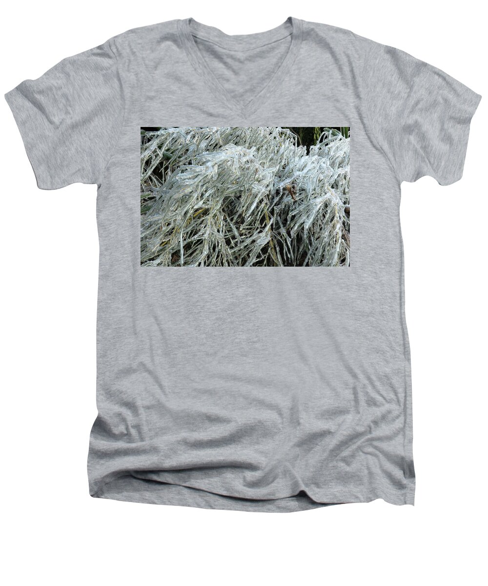 Ice Men's V-Neck T-Shirt featuring the photograph Ice On Bamboo Leaves by Daniel Reed