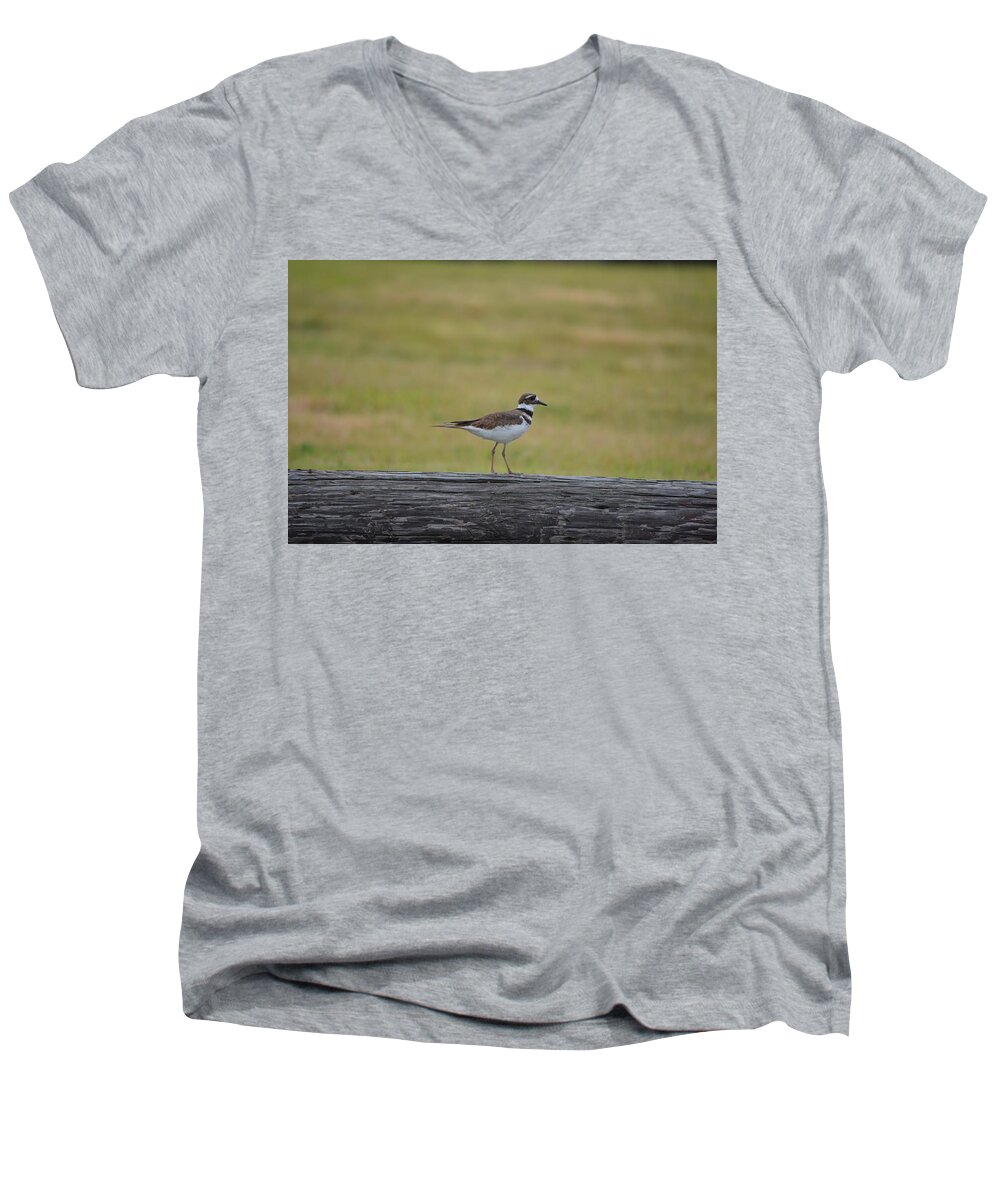 Birding Men's V-Neck T-Shirt featuring the photograph Killdeer by James Petersen