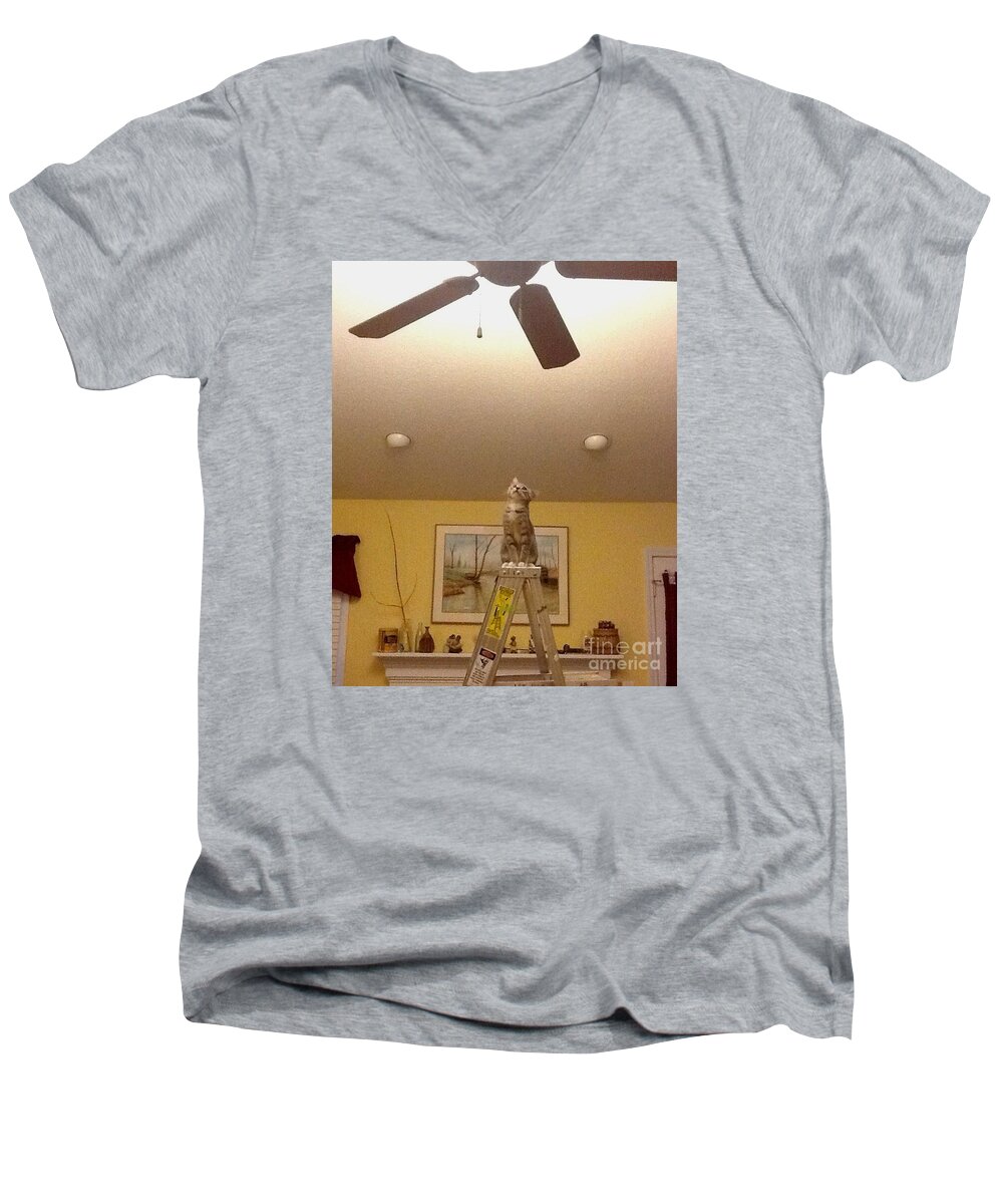 Cat Men's V-Neck T-Shirt featuring the photograph Ladder Cat by Stacy C Bottoms