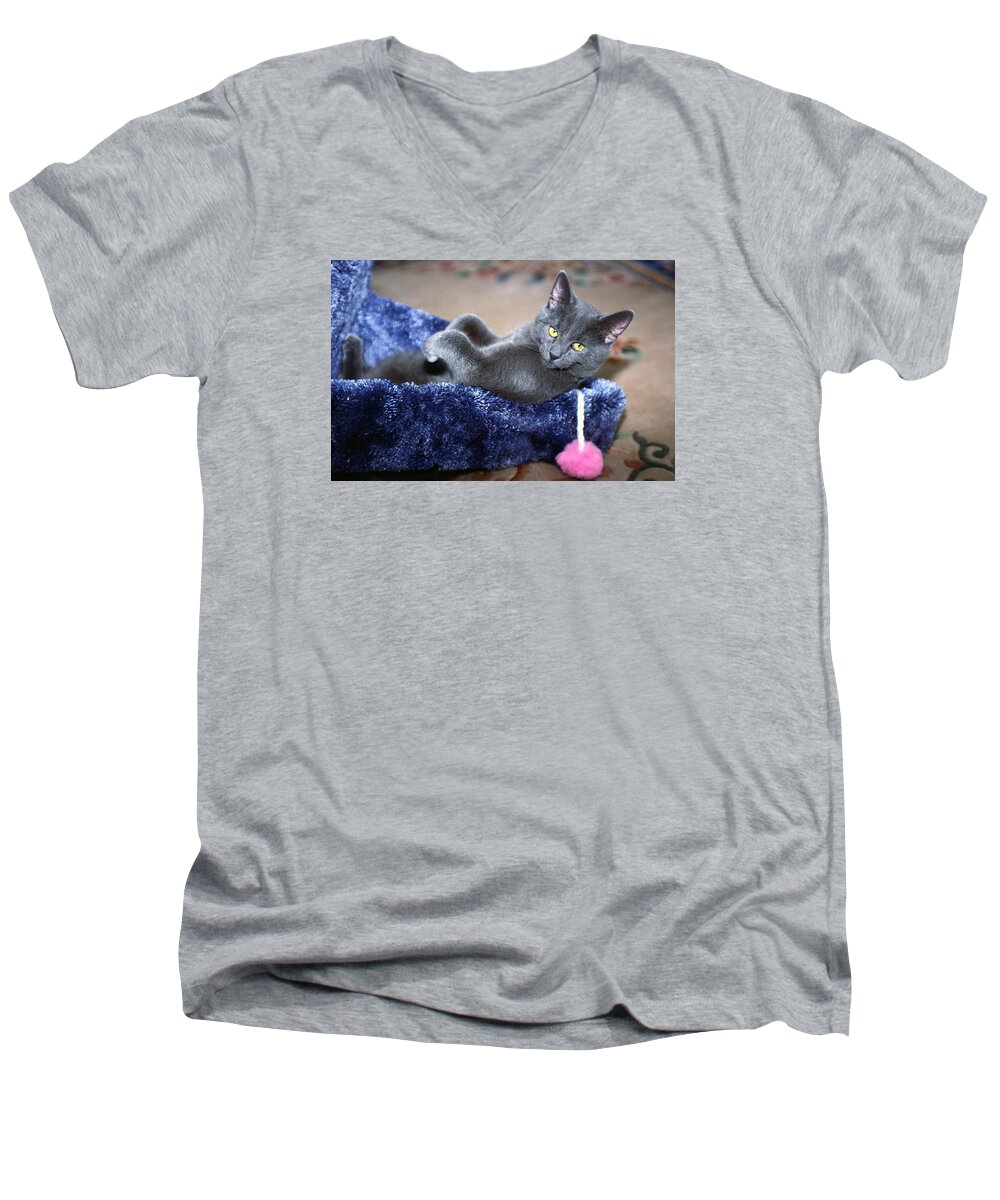 Russian Blue Kitten Lying Back Inside Scratching Post Men's V-Neck T-Shirt featuring the photograph Laid Back by Sally Weigand