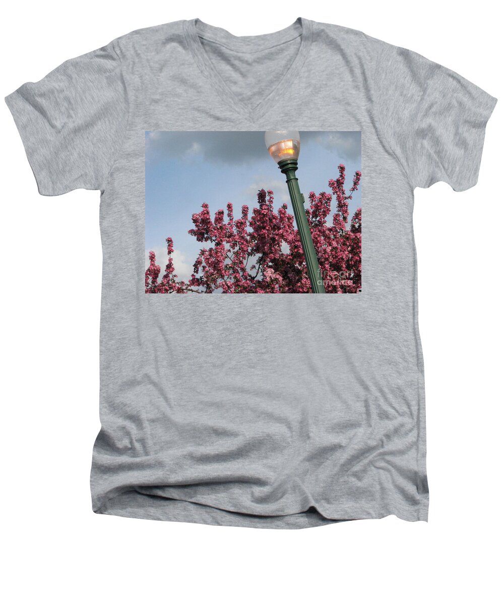Light Men's V-Neck T-Shirt featuring the photograph Lighting Up The Day by Michael Krek