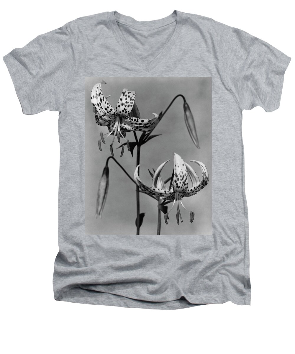 Flowers Men's V-Neck T-Shirt featuring the photograph Lilium Bellingham by Herman V. Wall