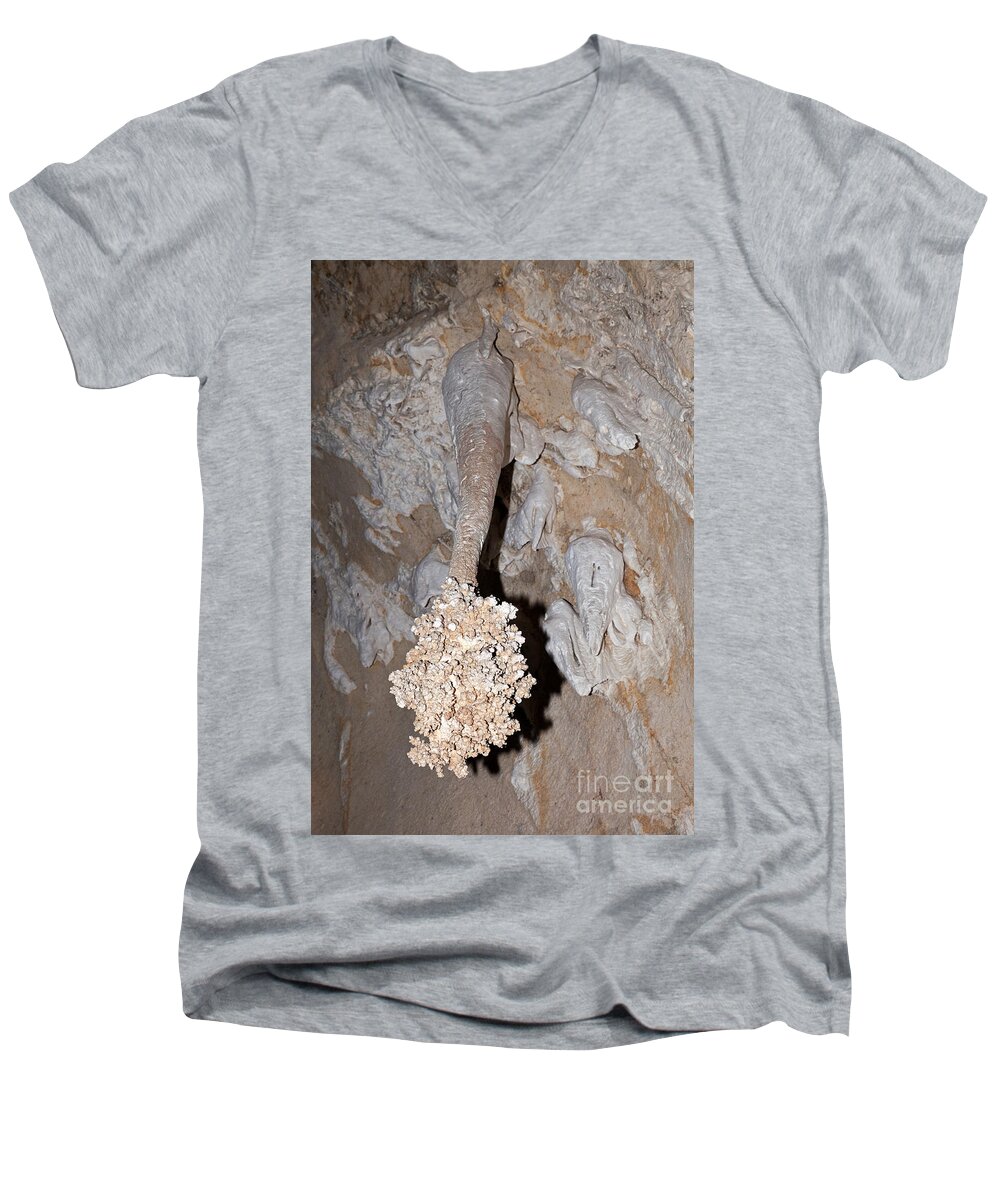 Carlsbad Men's V-Neck T-Shirt featuring the photograph Lions Tail Carlsbad Caverns National Park by Fred Stearns