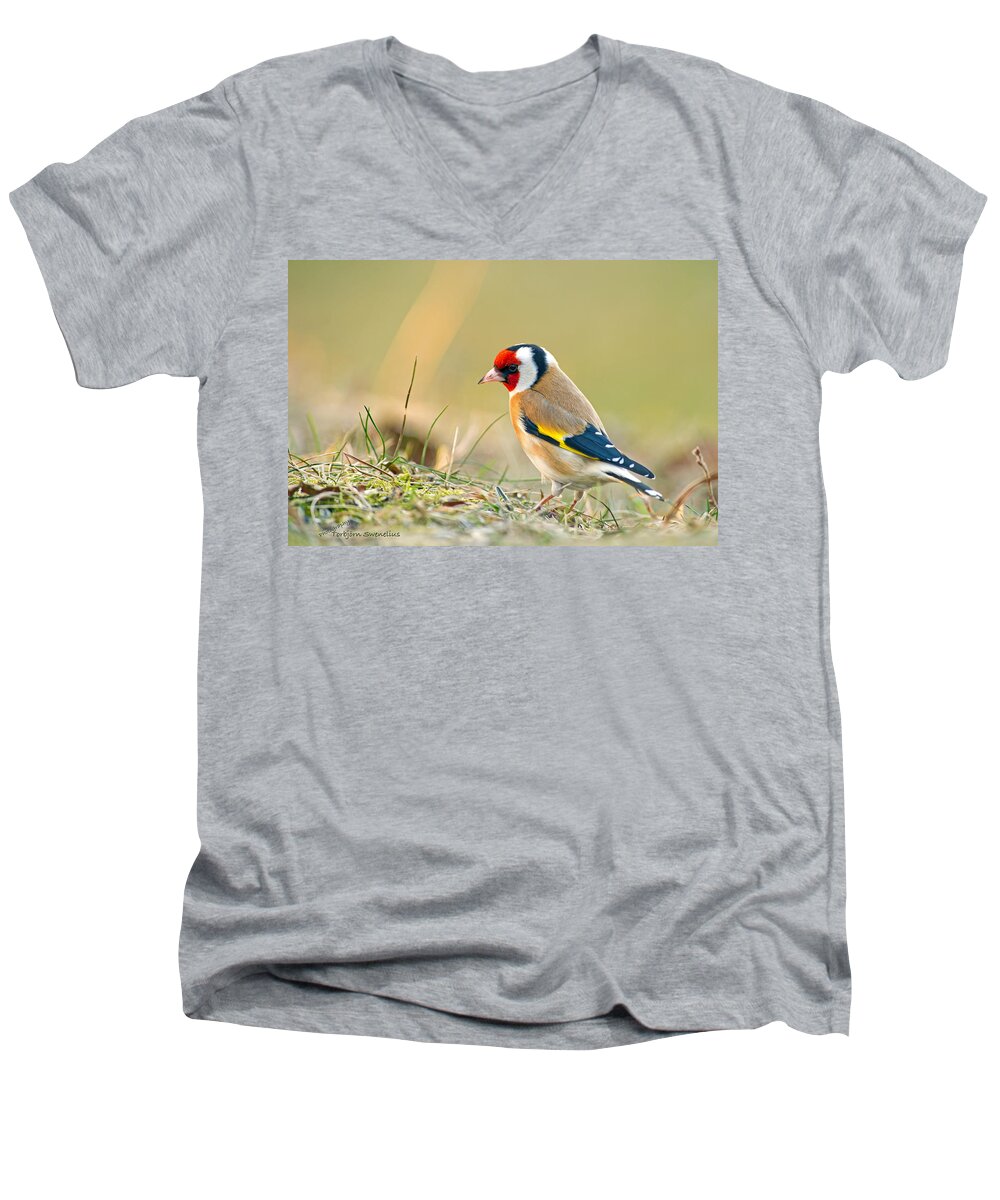 Goldfinch Looking Around Men's V-Neck T-Shirt featuring the photograph Looking around by Torbjorn Swenelius