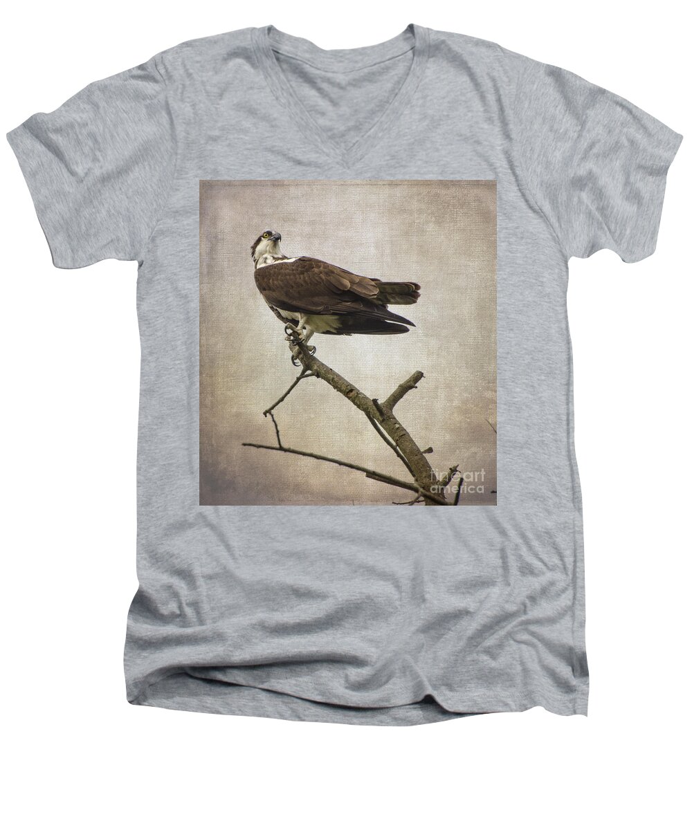 Hawk Men's V-Neck T-Shirt featuring the photograph Looking For Dinner by Judy Wolinsky