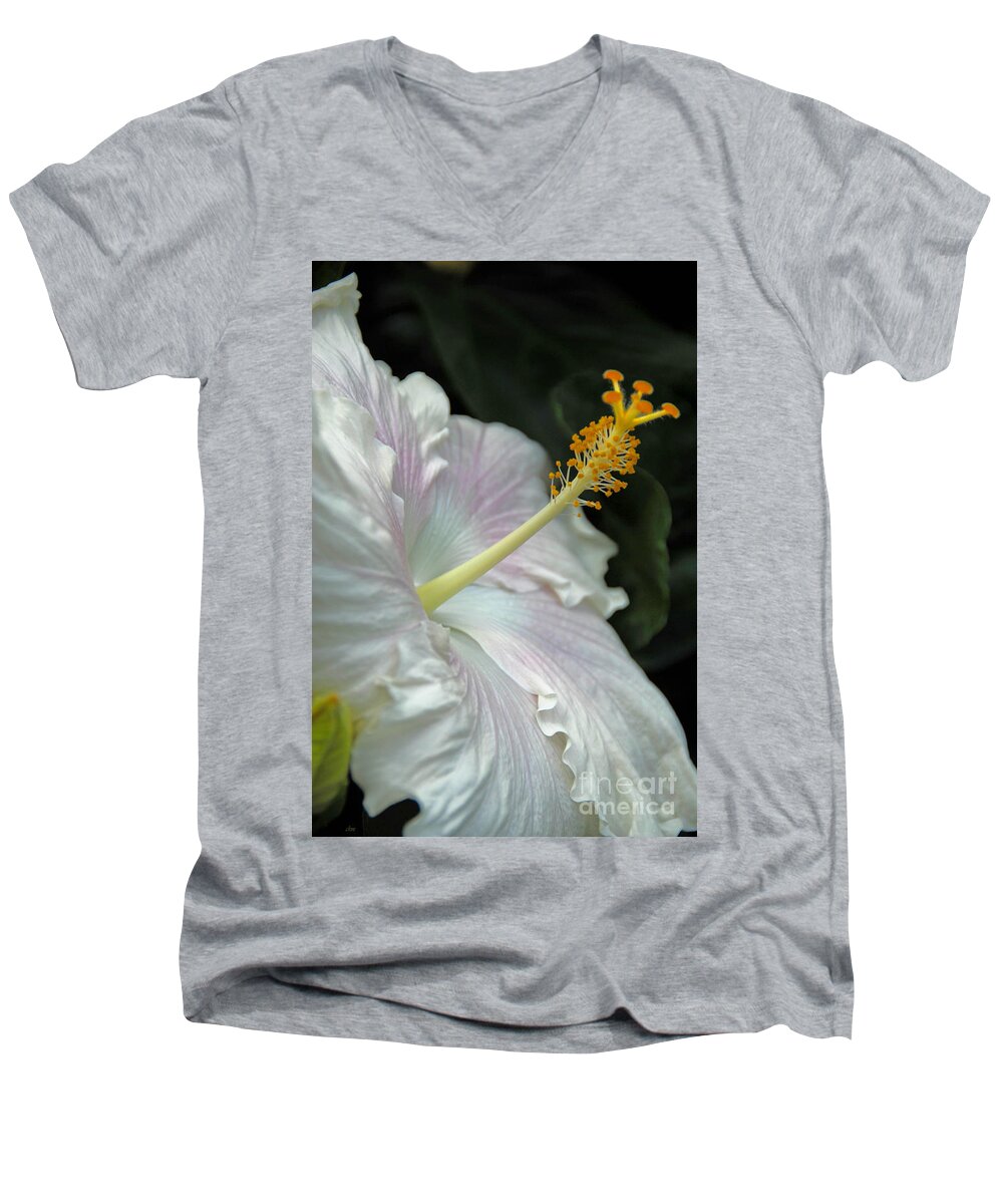 Floral Men's V-Neck T-Shirt featuring the photograph Looking Up by Cindy Manero
