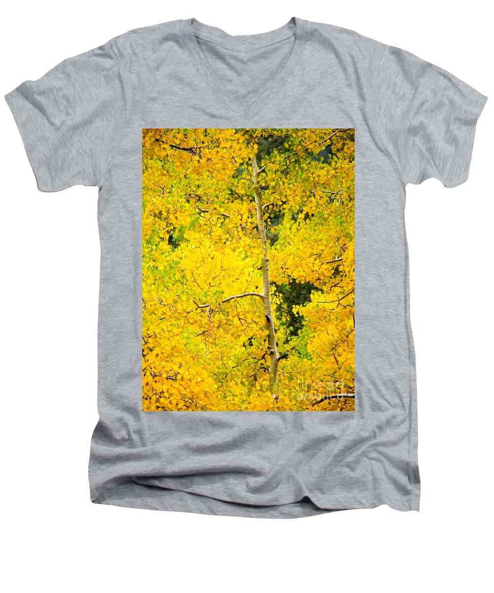 Aspens Men's V-Neck T-Shirt featuring the photograph Lost In Yellow by Roselynne Broussard