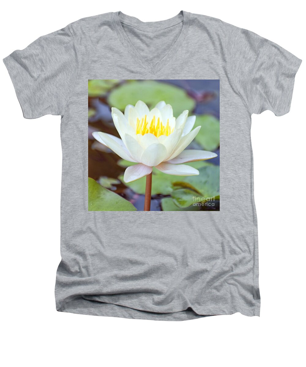 Lotus Men's V-Neck T-Shirt featuring the photograph Lotus flower 02 by Antony McAulay