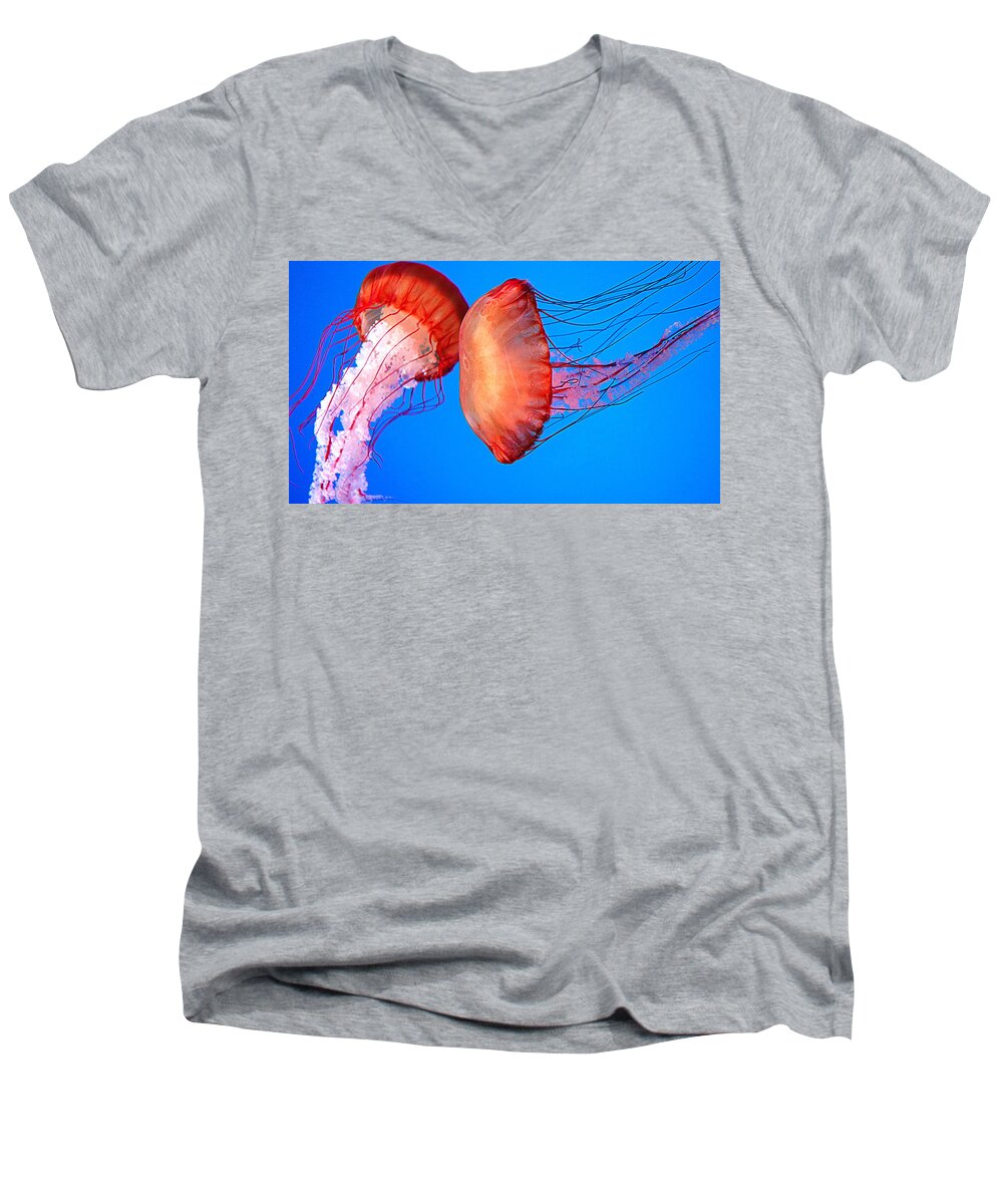 Abstract Men's V-Neck T-Shirt featuring the photograph Love Dance by Valentino Visentini