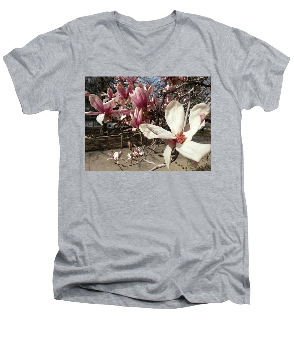 Pink Men's V-Neck T-Shirt featuring the photograph Magnolia Branches by Caryl J Bohn