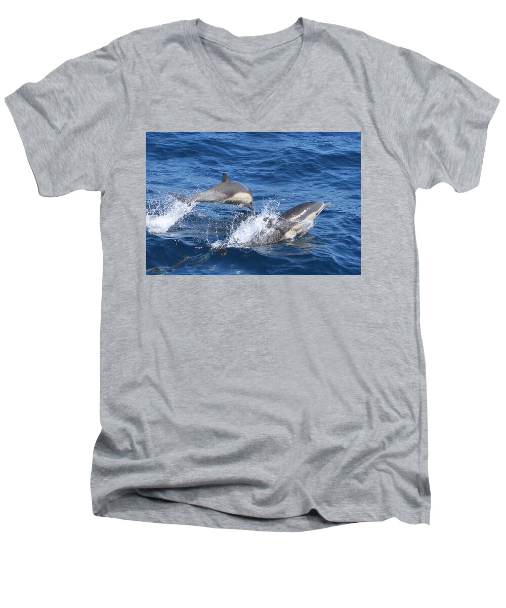 Dolphins Men's V-Neck T-Shirt featuring the photograph Make a Splash by Shoal Hollingsworth