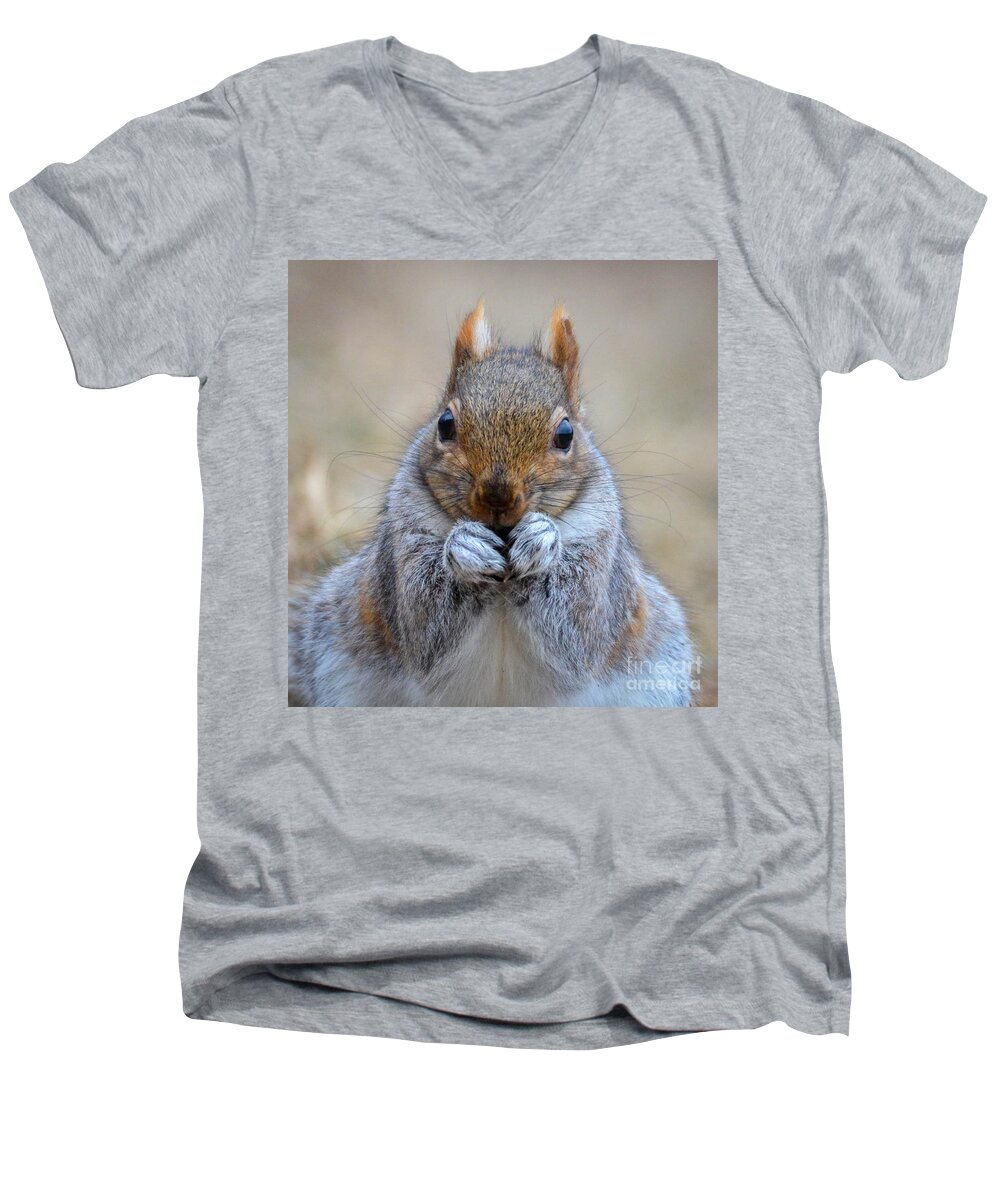 Grey Squirrel Men's V-Neck T-Shirt featuring the photograph Mister Whiskers by Amy Porter