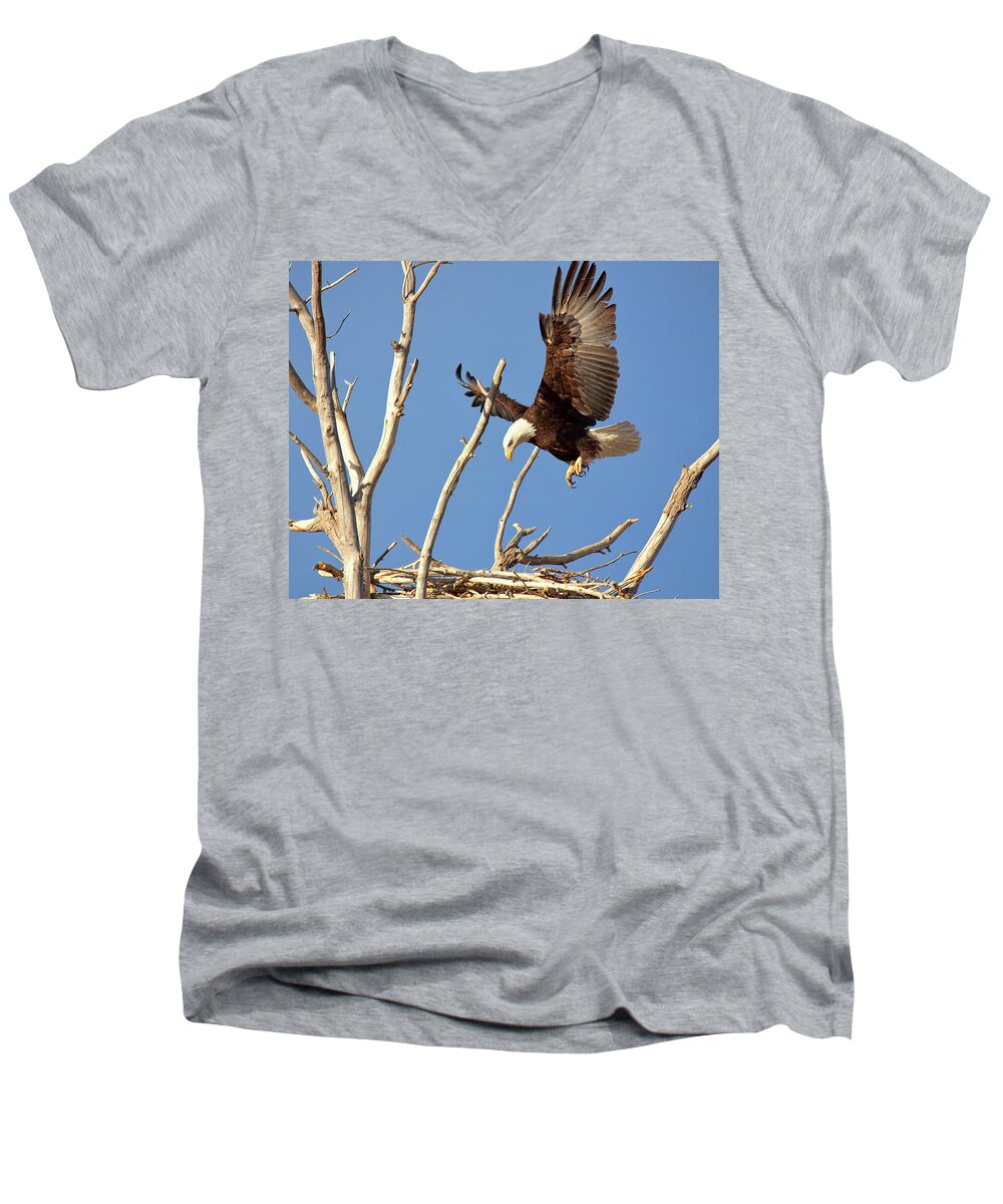  Eagles Men's V-Neck T-Shirt featuring the photograph Mommas' Home by Jim Garrison