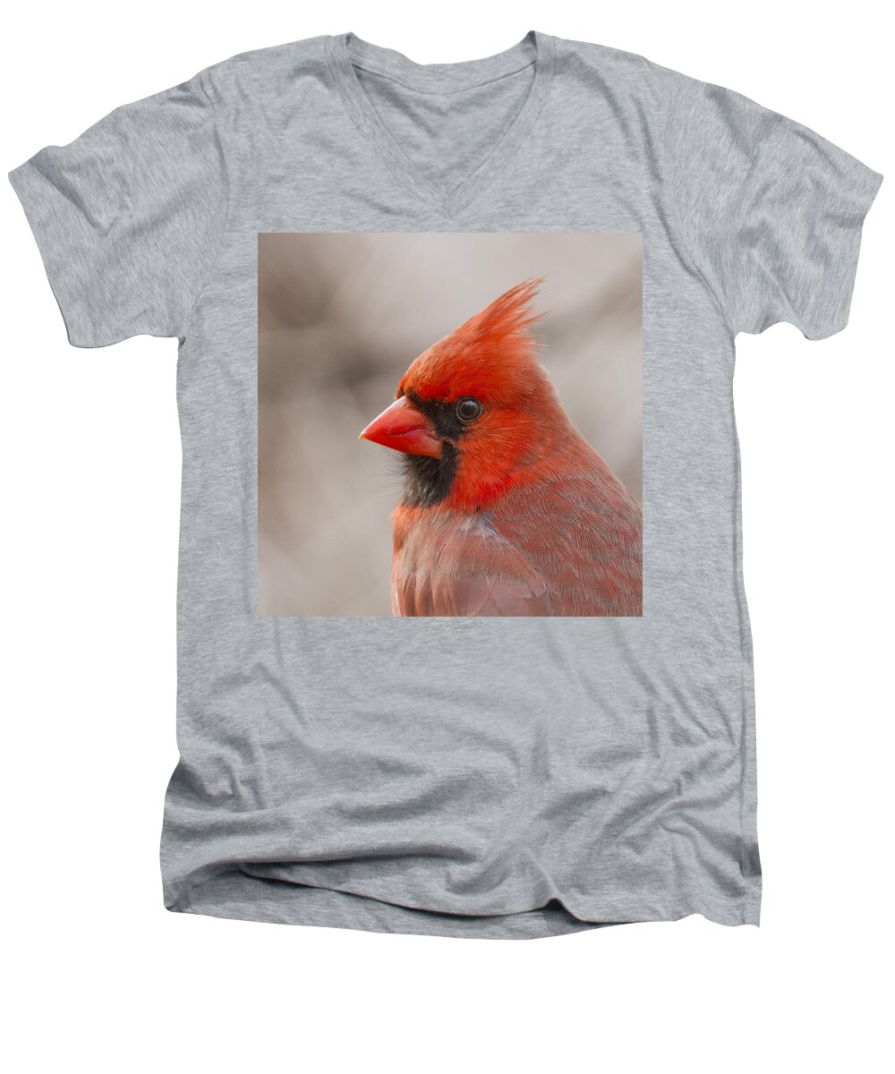 Red Men's V-Neck T-Shirt featuring the photograph Mr Cardinal Portrait by Mircea Costina Photography