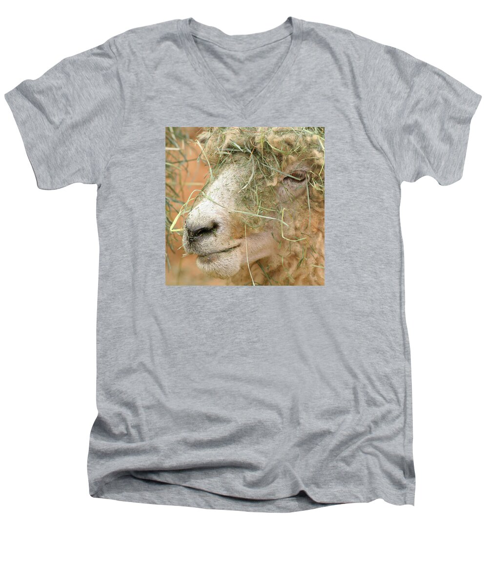 Sheep Men's V-Neck T-Shirt featuring the photograph New Hair Style by Art Block Collections