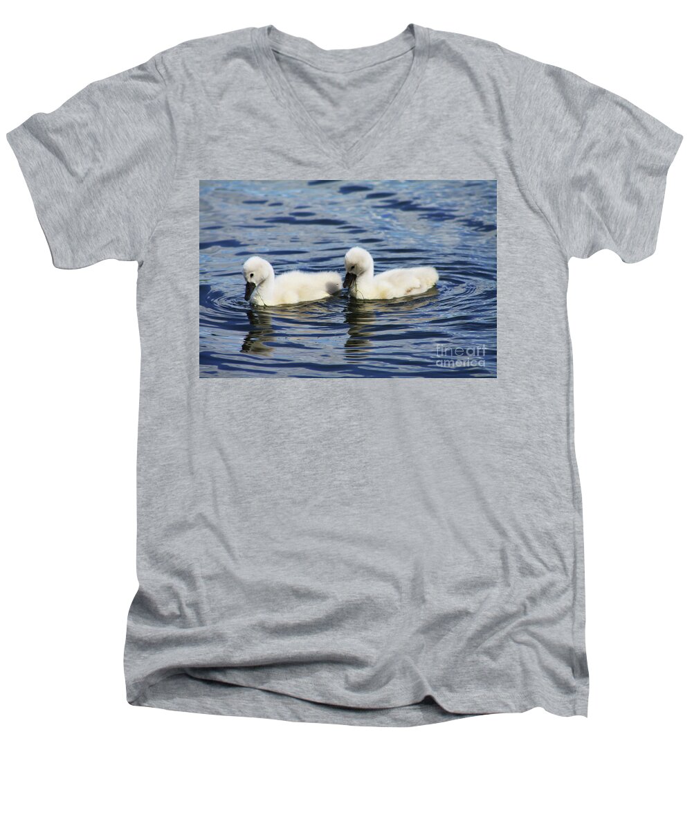 Swans Men's V-Neck T-Shirt featuring the photograph Newborn Mute Swans by Alyce Taylor