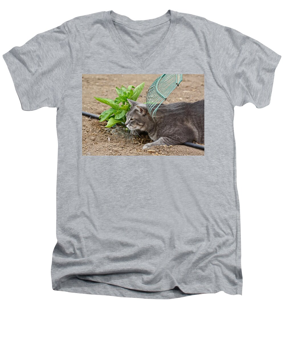 Cat Men's V-Neck T-Shirt featuring the photograph One Happy Cat by Diana Hatcher