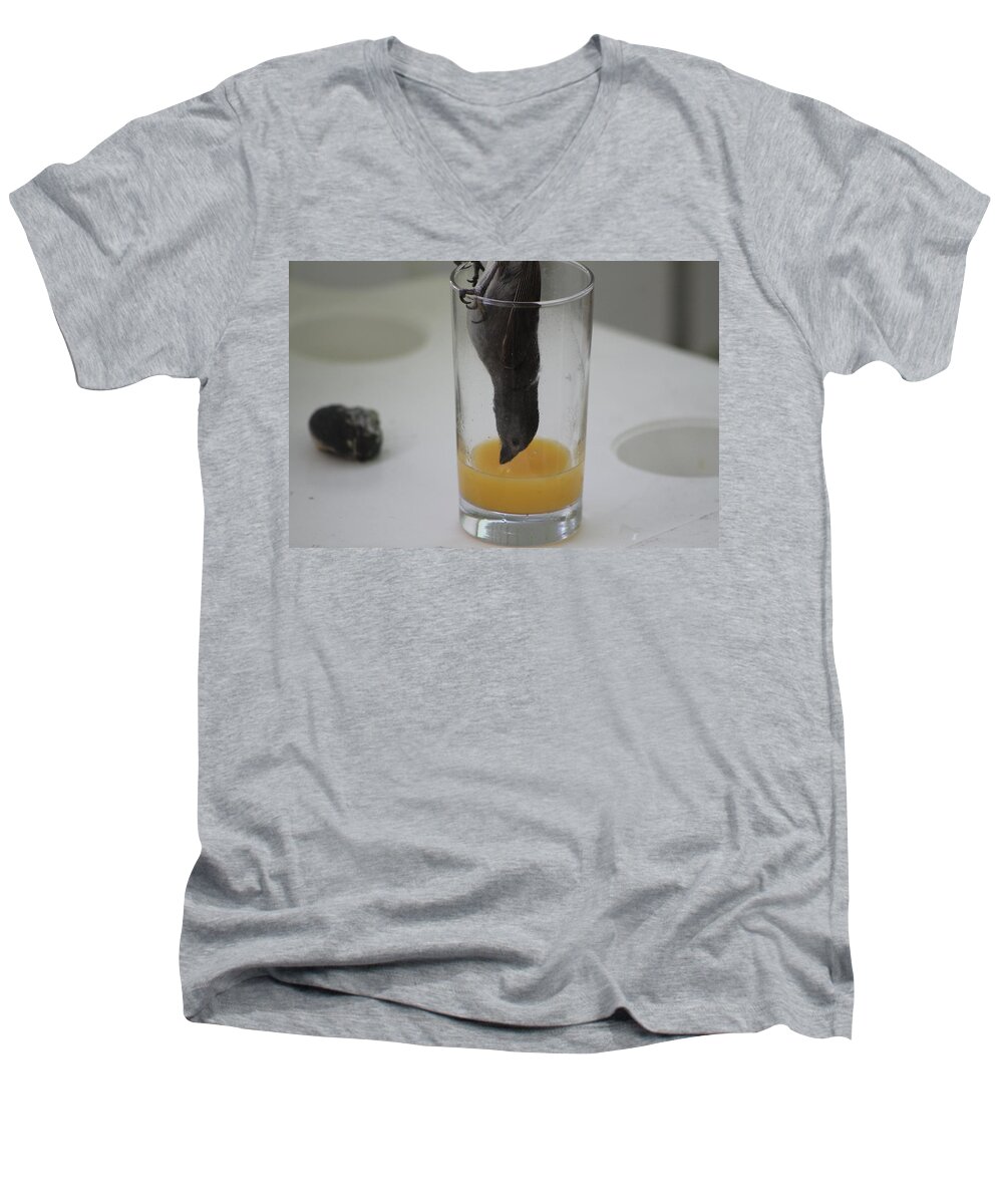 Orange Juice Men's V-Neck T-Shirt featuring the photograph One Thirsty Bird by Catie Canetti