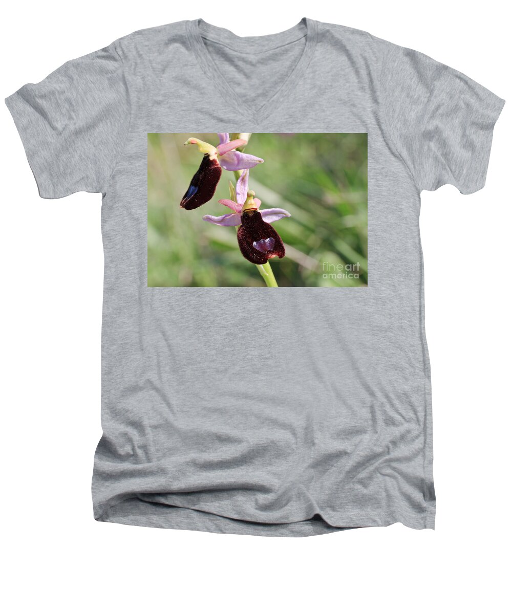 Beautiful Men's V-Neck T-Shirt featuring the photograph Ophrys Bertolonii by Antonio Scarpi