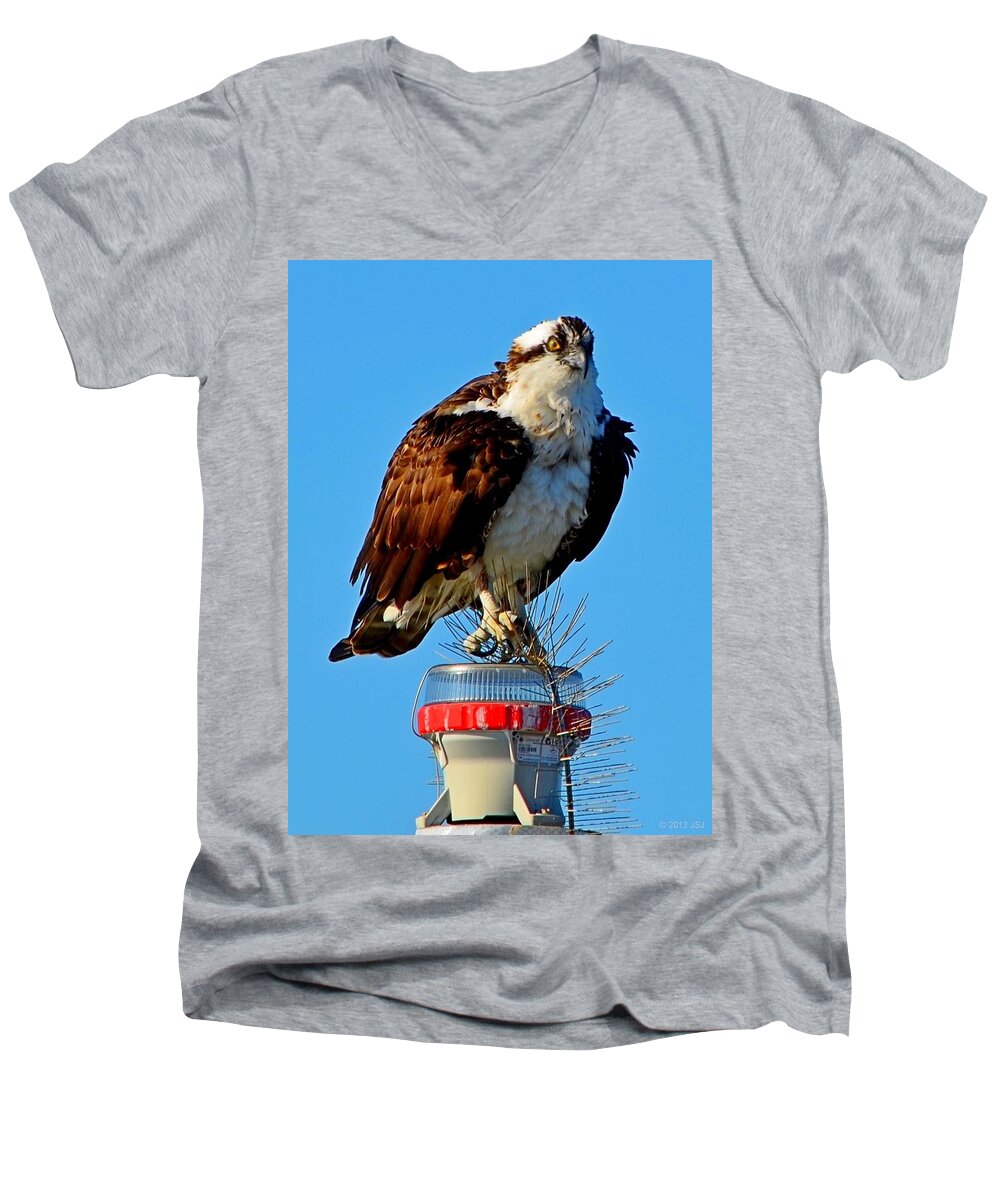 Bird Men's V-Neck T-Shirt featuring the photograph Osprey Close-up on Water Navigation Aid by Jeff at JSJ Photography