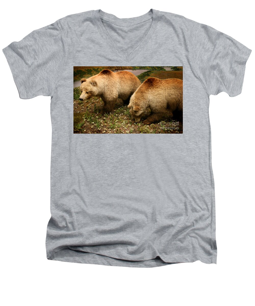 North America Photographs Men's V-Neck T-Shirt featuring the photograph Out of hibernation by David Millenheft