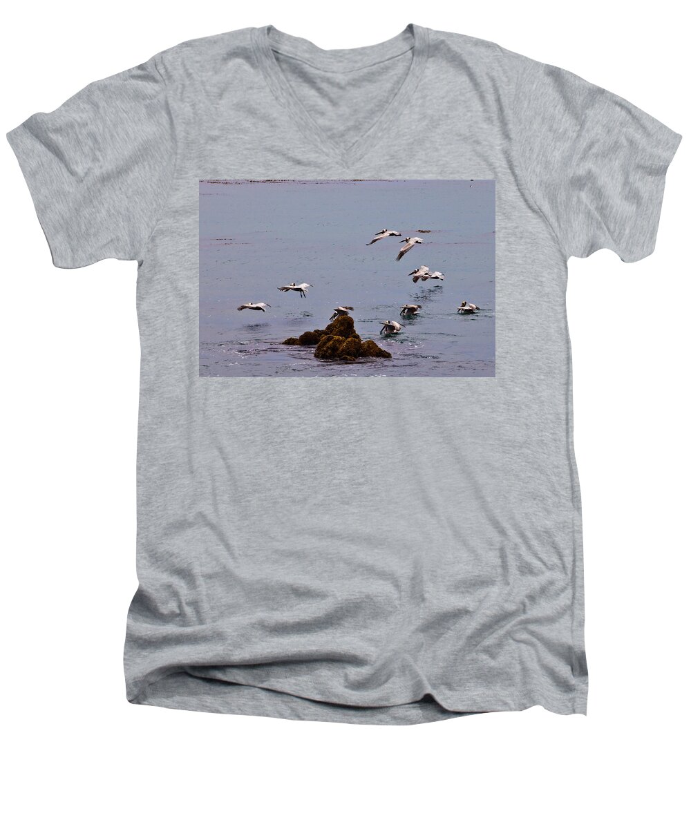 Bird Men's V-Neck T-Shirt featuring the photograph Pacific Landing by Melinda Ledsome