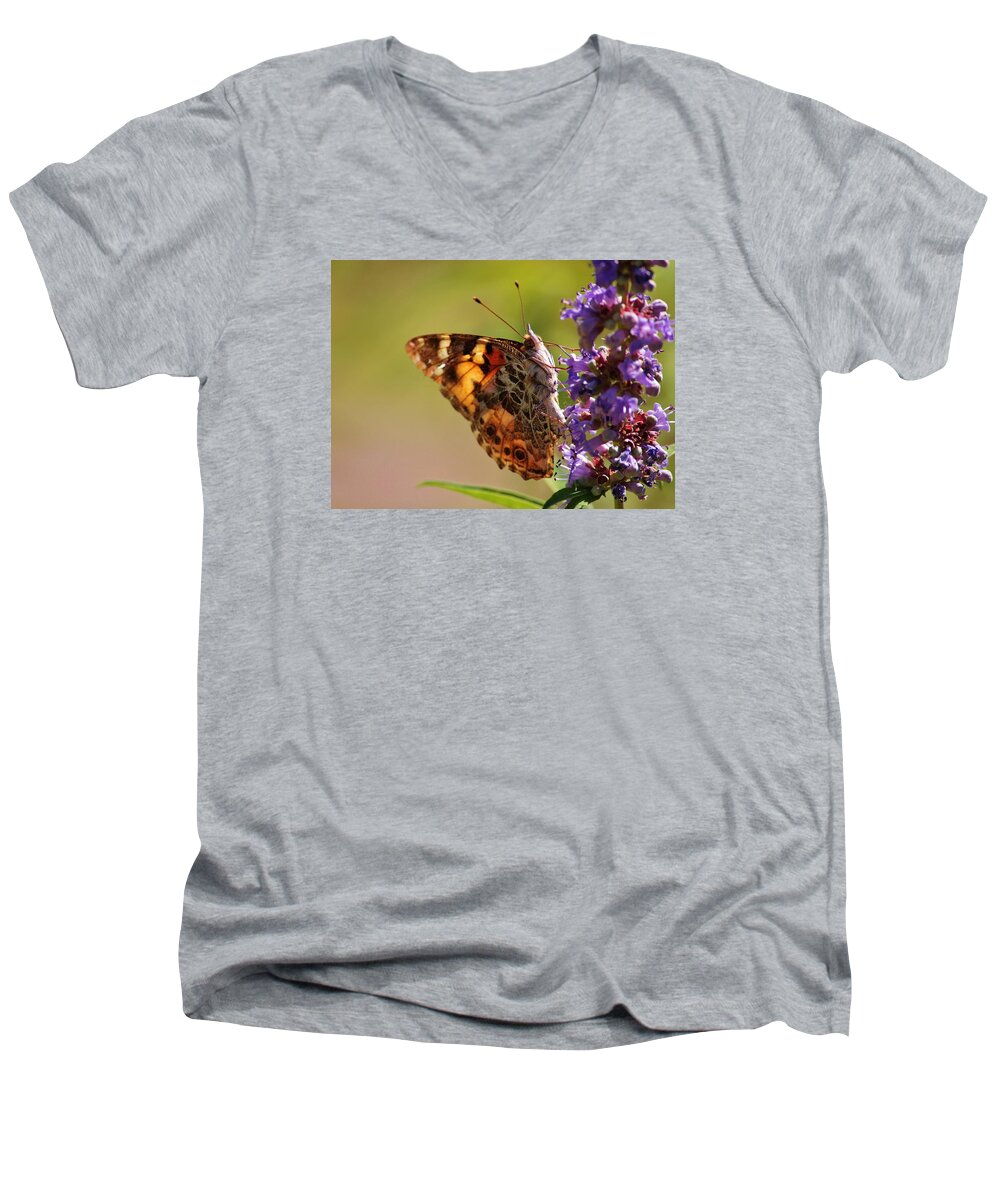 Butterfly Men's V-Neck T-Shirt featuring the photograph Painted Lady by Marcia Breznay