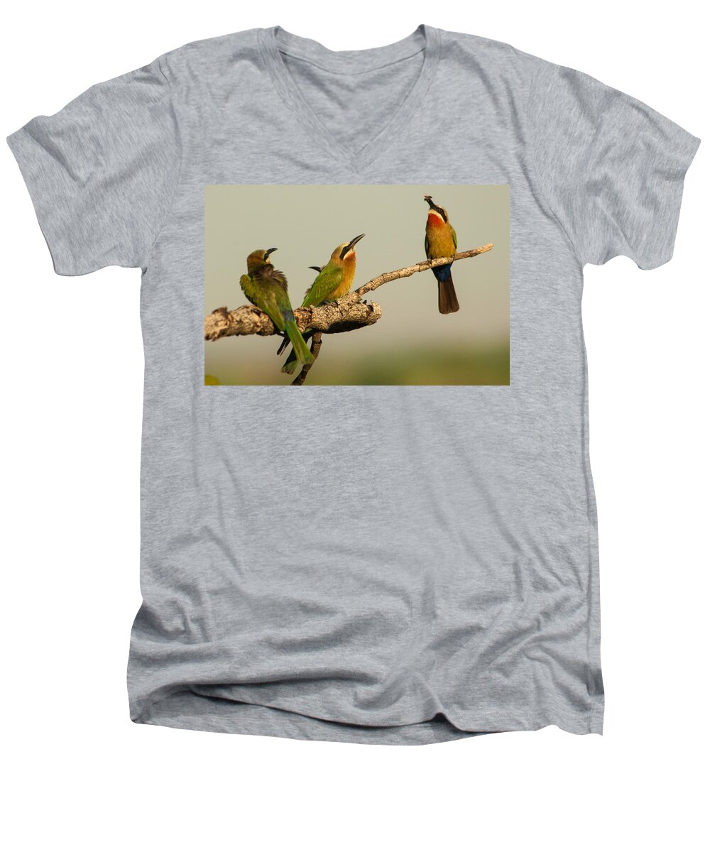 Africa Men's V-Neck T-Shirt featuring the photograph Pass the bee by Alistair Lyne