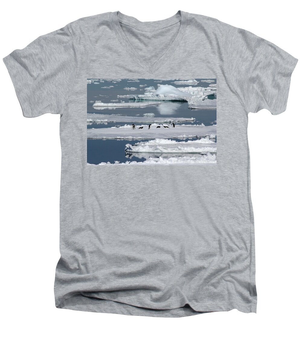 Ice Men's V-Neck T-Shirt featuring the photograph Penguin Party by Ginny Barklow