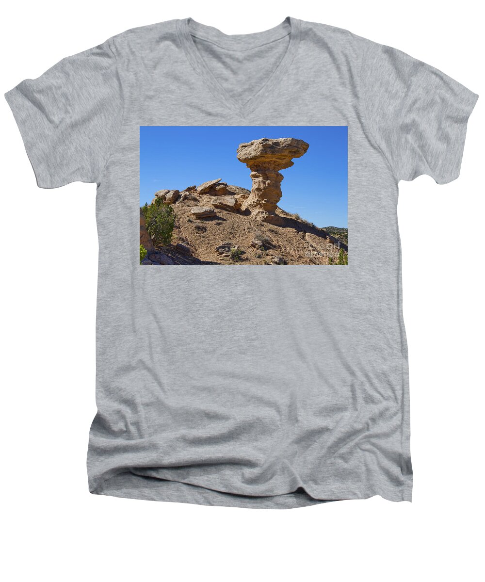 Petrified Camel Men's V-Neck T-Shirt featuring the photograph Petrified Camel by Gary Holmes