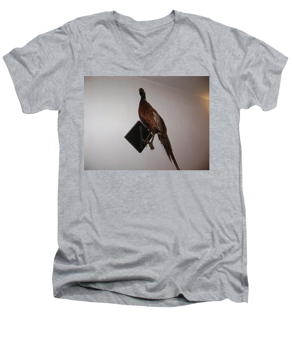 Birds Men's V-Neck T-Shirt featuring the photograph Pheasant by Moshe Harboun