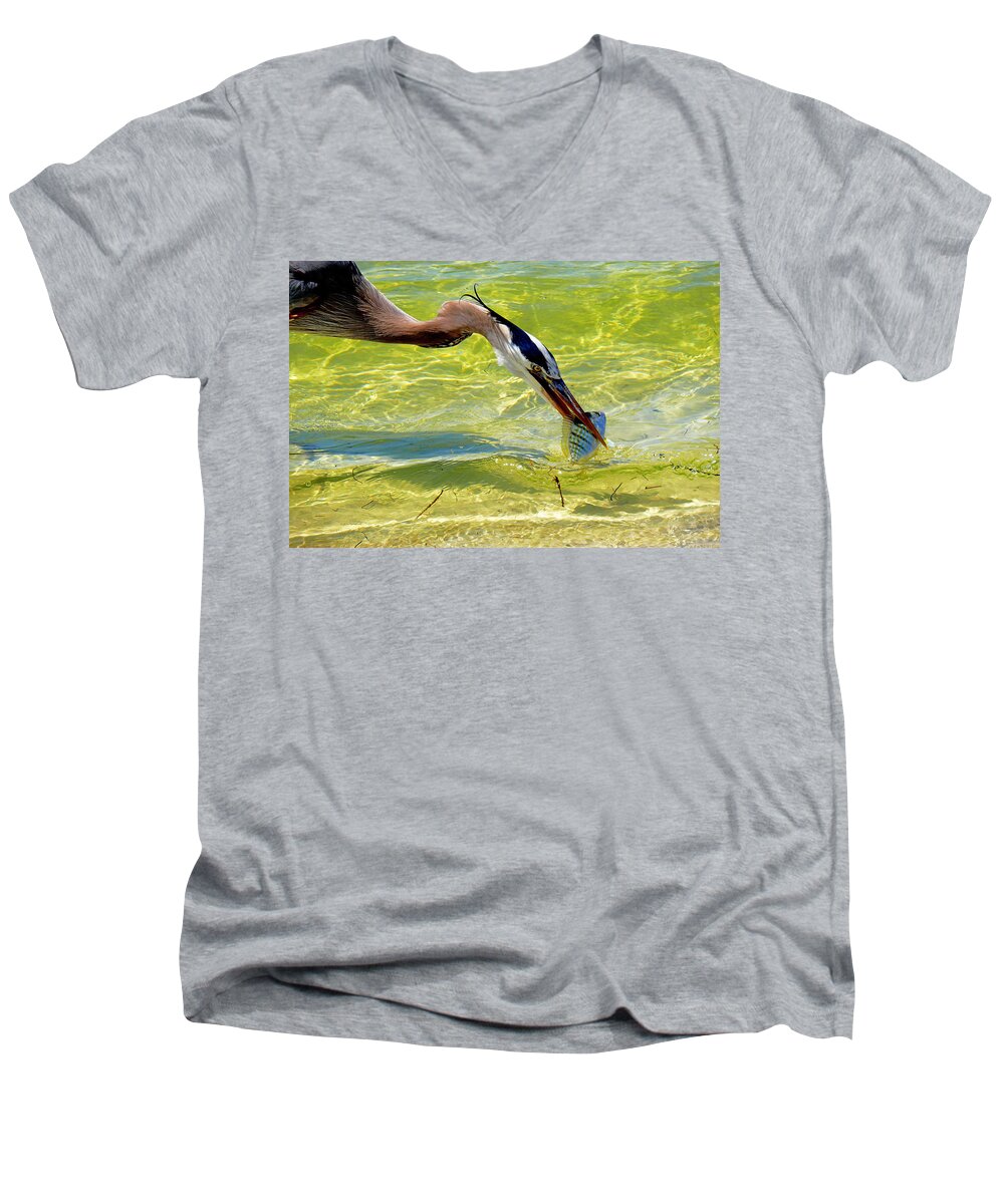 Great Blue Heron Men's V-Neck T-Shirt featuring the photograph Plucked from the sea by Stuart Harrison