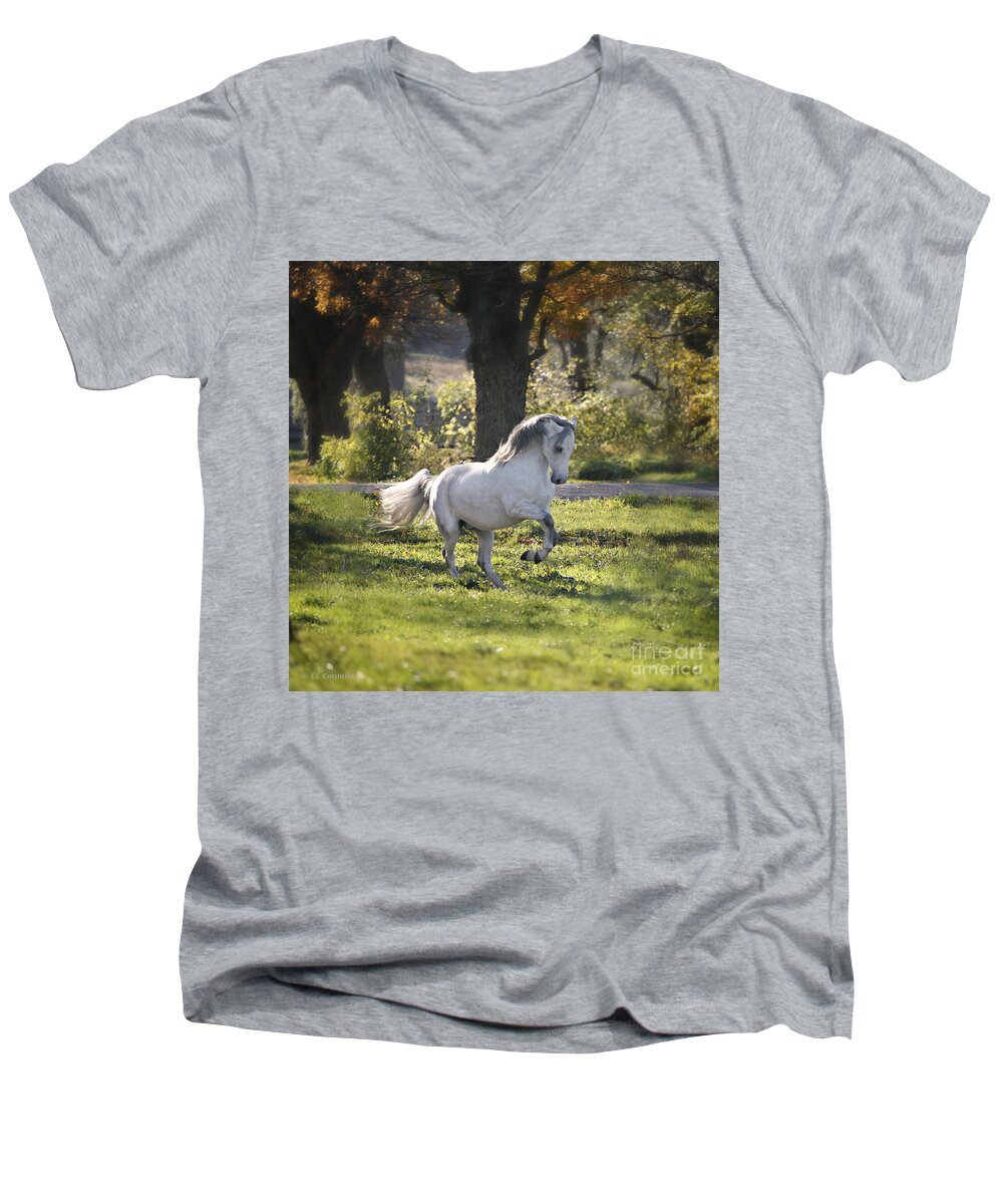 Horse Men's V-Neck T-Shirt featuring the photograph Practicing Levade by Carol Lynn Coronios