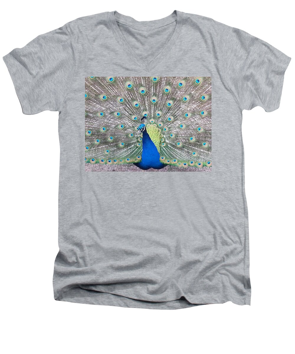 Peacock Men's V-Neck T-Shirt featuring the photograph Pride by Caryl J Bohn
