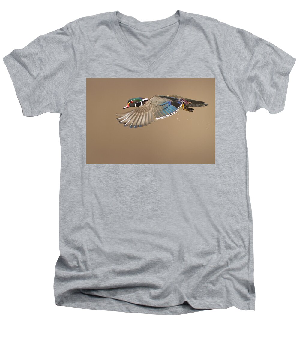 Probably Men's V-Neck T-Shirt featuring the photograph Probably the most beautiful of all duck species by Mircea Costina Photography