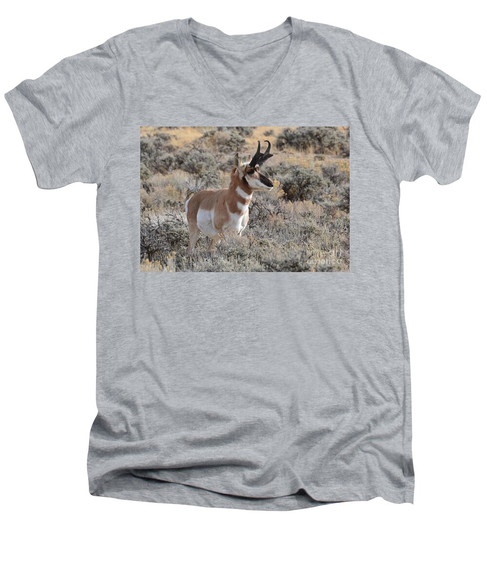 Antelope Men's V-Neck T-Shirt featuring the photograph Regal Patriarch by Dorrene BrownButterfield