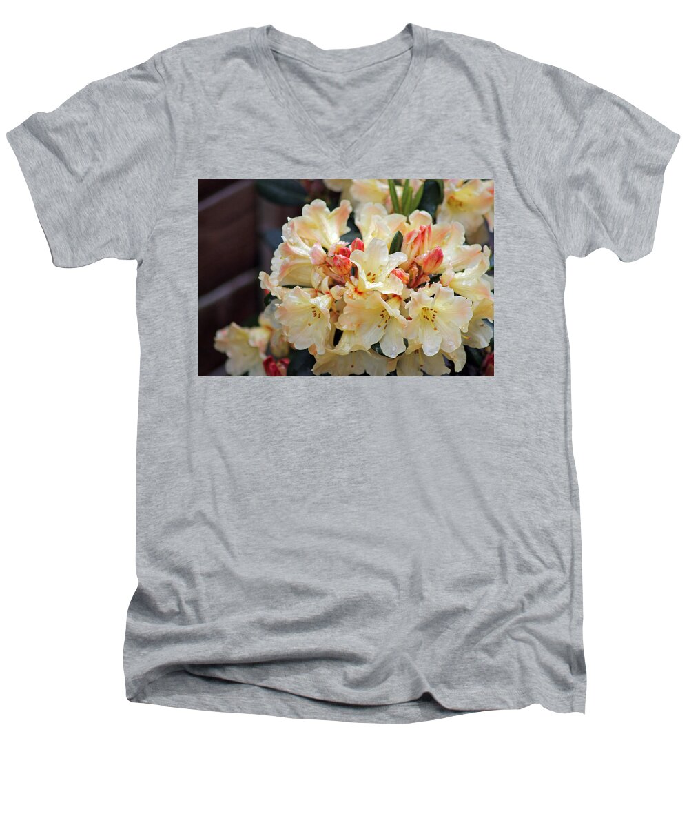 Rhododendron Nancy Evans Men's V-Neck T-Shirt featuring the photograph Rhododendron Nancy Evans by Tony Murtagh