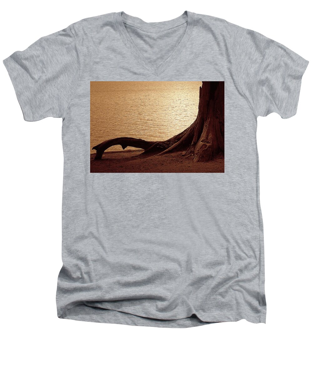 Tree Men's V-Neck T-Shirt featuring the photograph Roots by Mim White