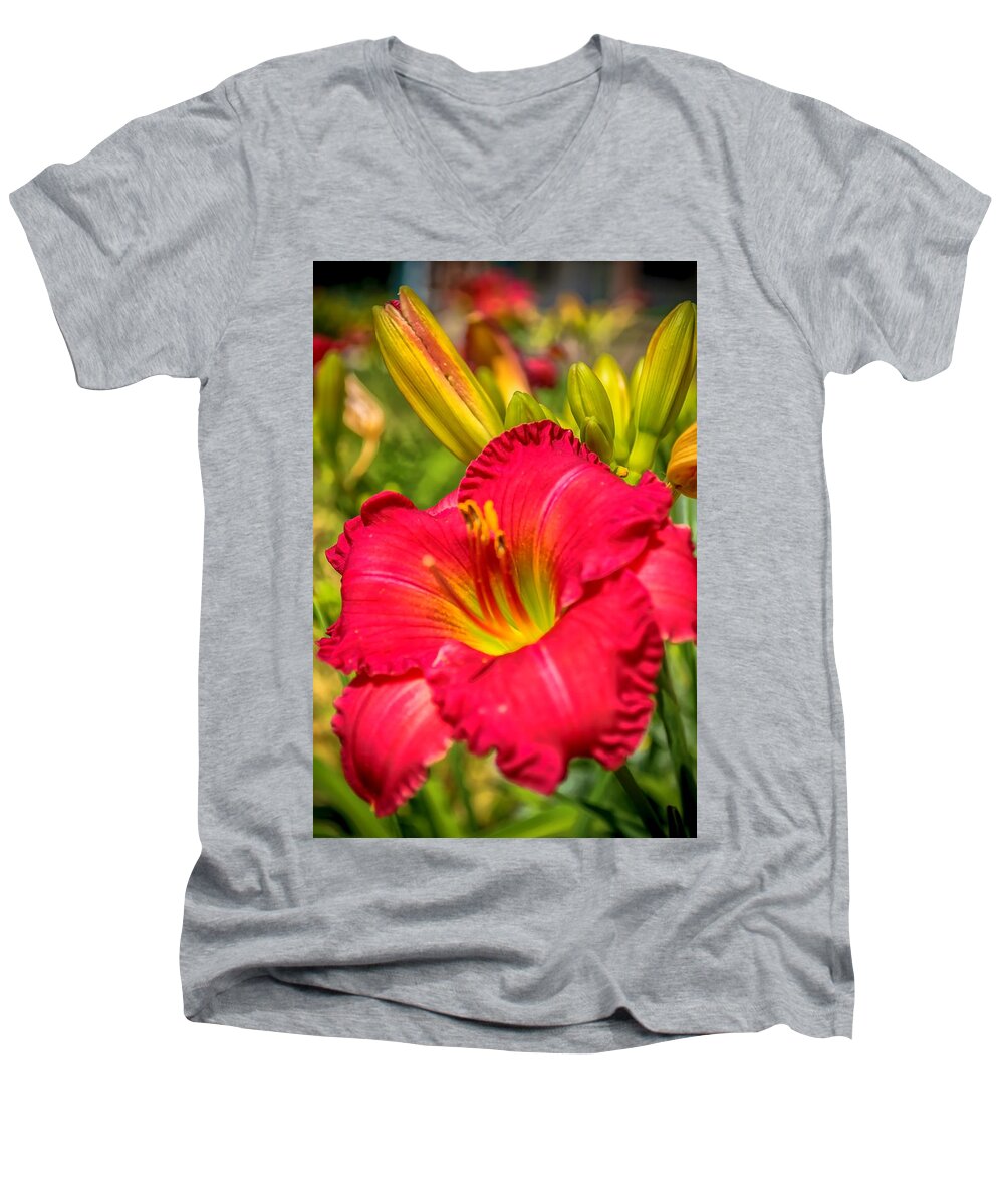 Lily Men's V-Neck T-Shirt featuring the photograph Simple Lily by James Meyer