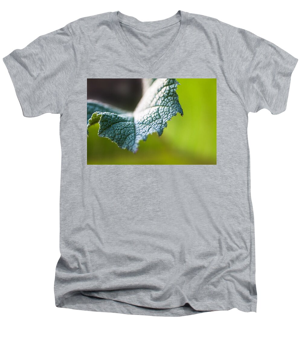 Botanical Men's V-Neck T-Shirt featuring the photograph Slice of Leaf by John Wadleigh
