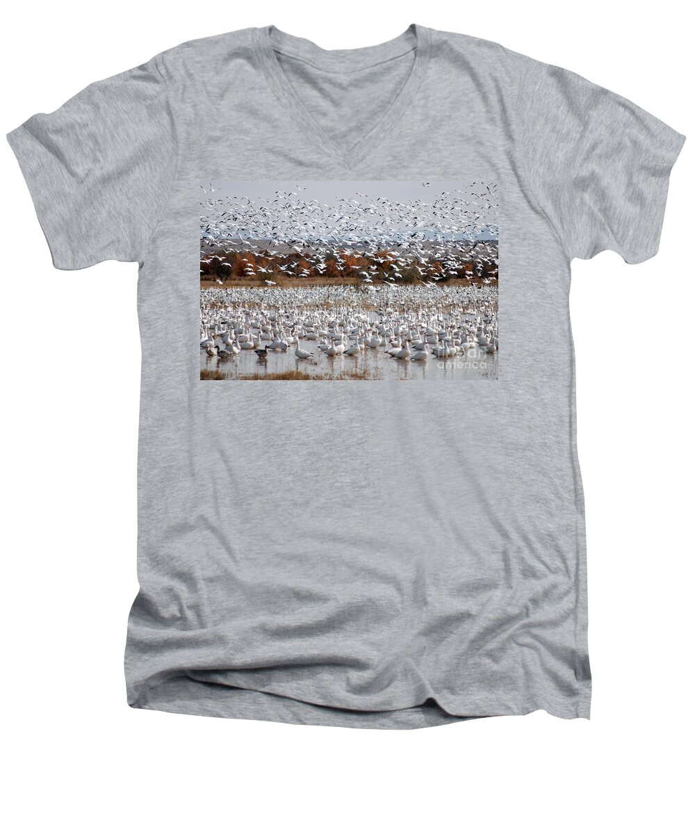 Snow Geese Men's V-Neck T-Shirt featuring the photograph Snow Geese No.4 by John Greco
