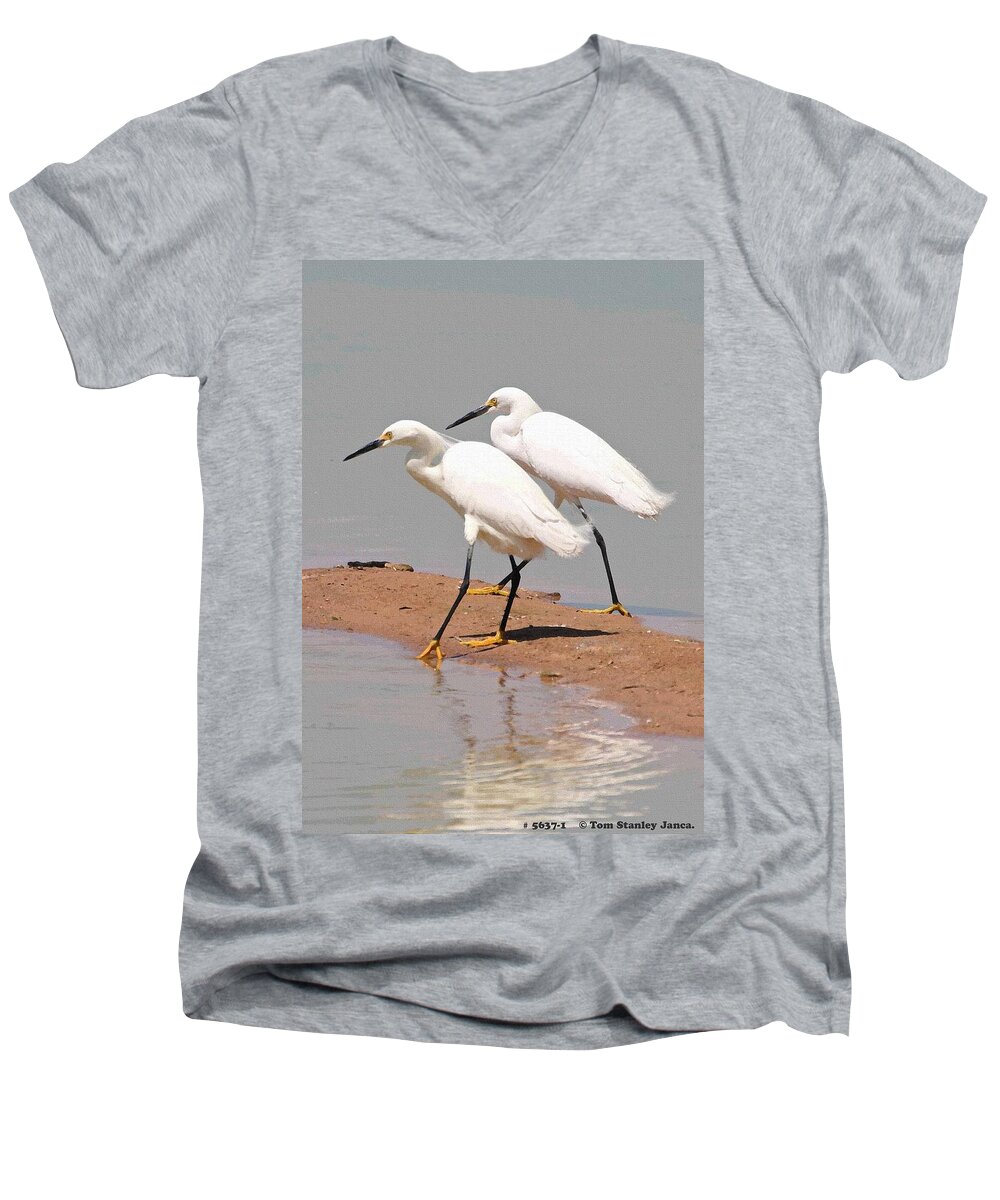 Snowy Egrets With Matching Beaks Men's V-Neck T-Shirt featuring the photograph Snowy Egrets With Matching Beaks by Tom Janca