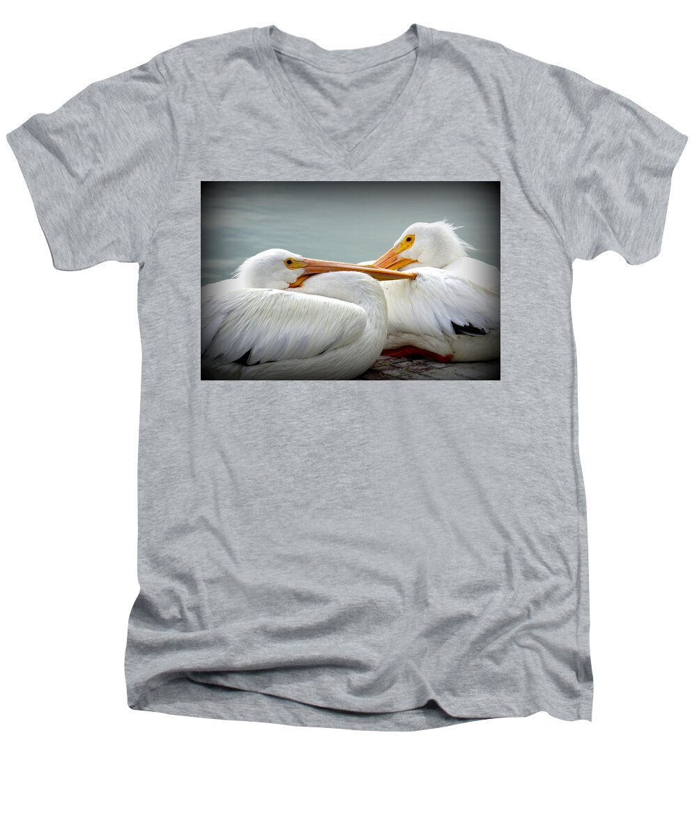 White Pelicans Men's V-Neck T-Shirt featuring the photograph Snuggly Pelicans by Laurie Perry