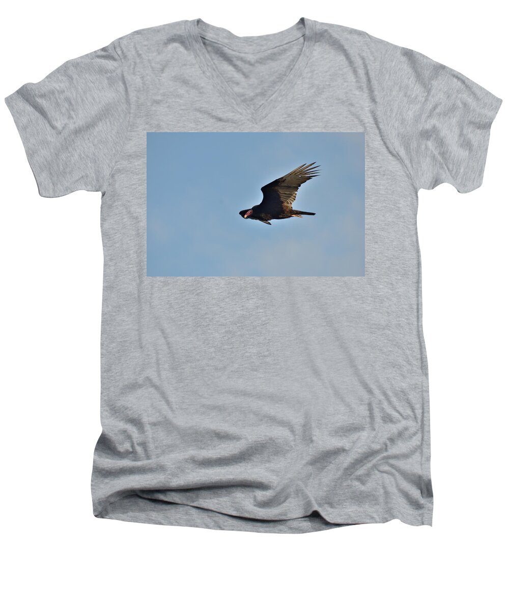 Vulture Men's V-Neck T-Shirt featuring the photograph Soaring by David Porteus