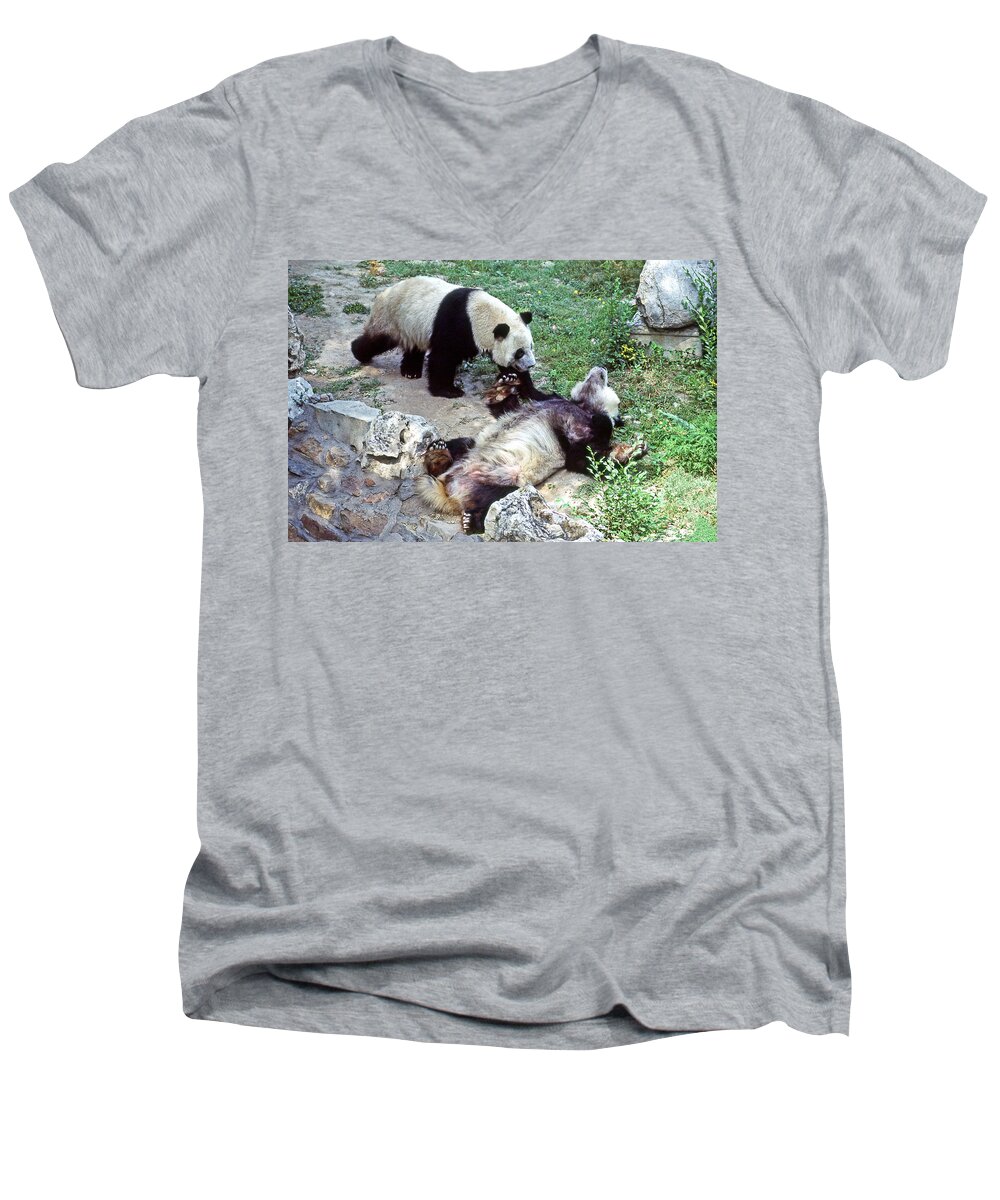 Panda Men's V-Neck T-Shirt featuring the photograph Sorry I Scared You by Ginny Barklow