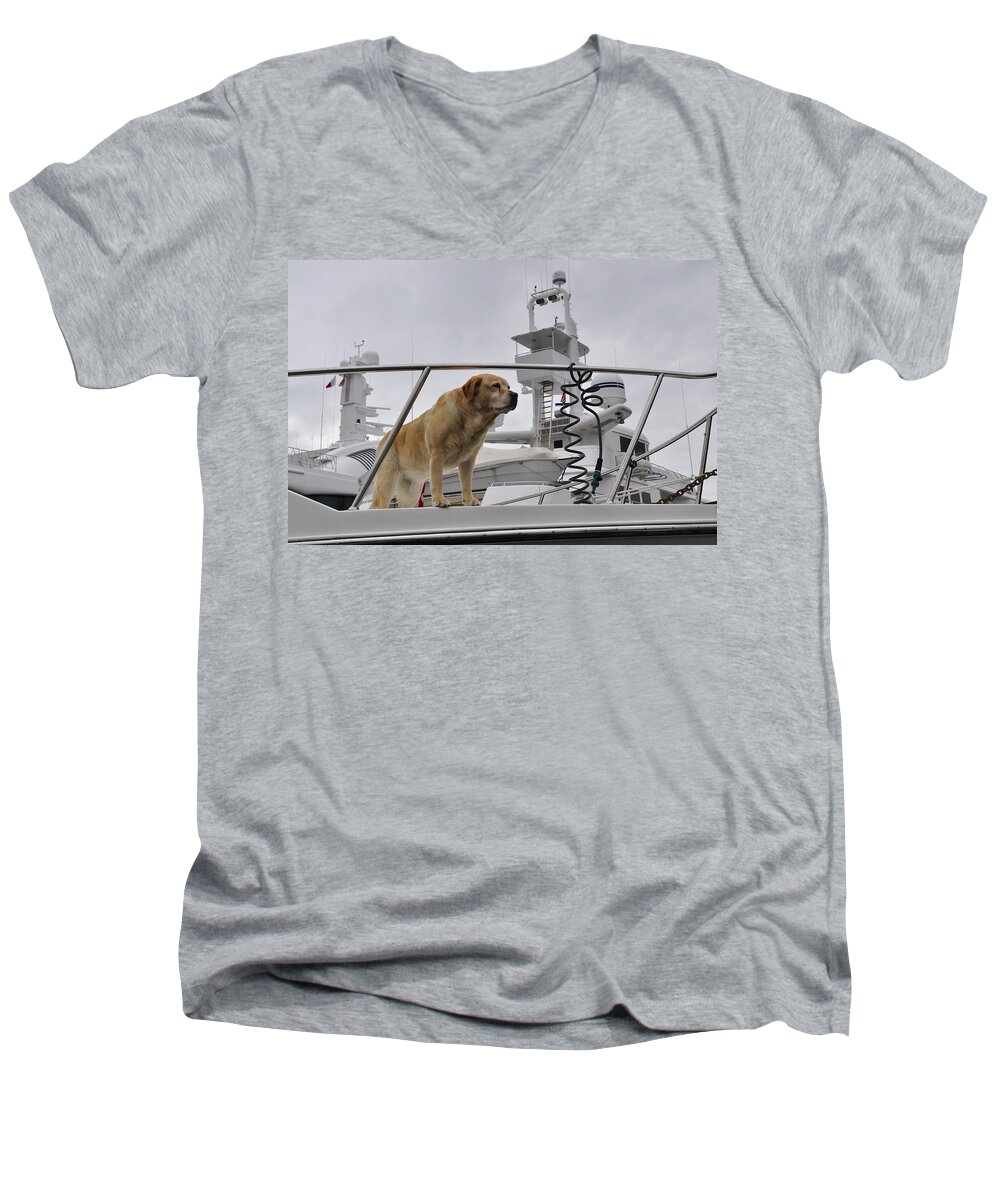 Dog Men's V-Neck T-Shirt featuring the photograph Standing Guard by Cathy Mahnke
