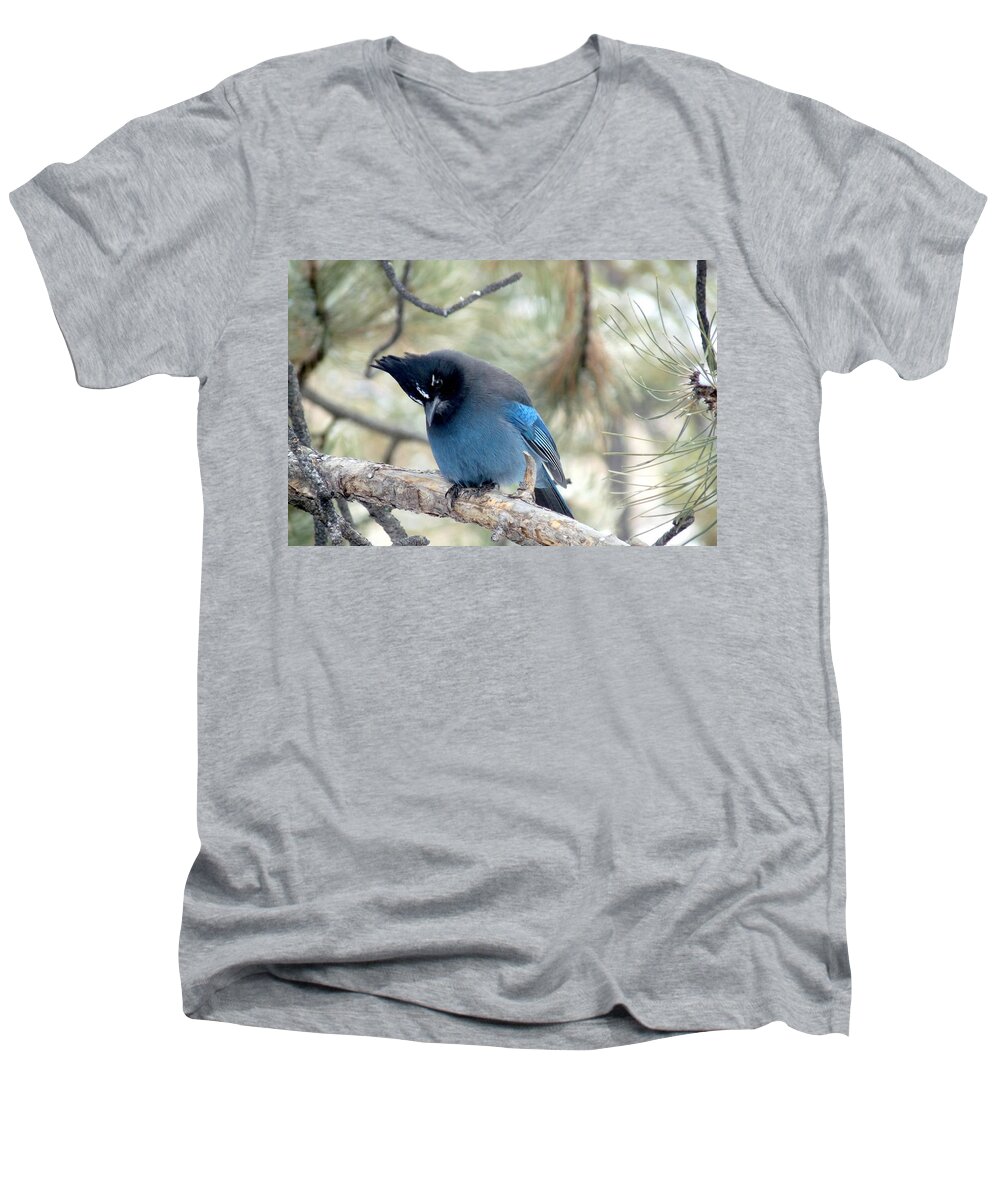 Colorado Men's V-Neck T-Shirt featuring the photograph Steller's Jay Looking Down by Marilyn Burton