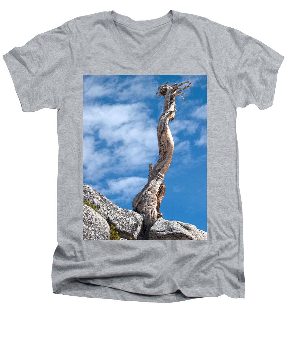 Olmsted Point Men's V-Neck T-Shirt featuring the photograph Still Standing #2 by Joe Schofield