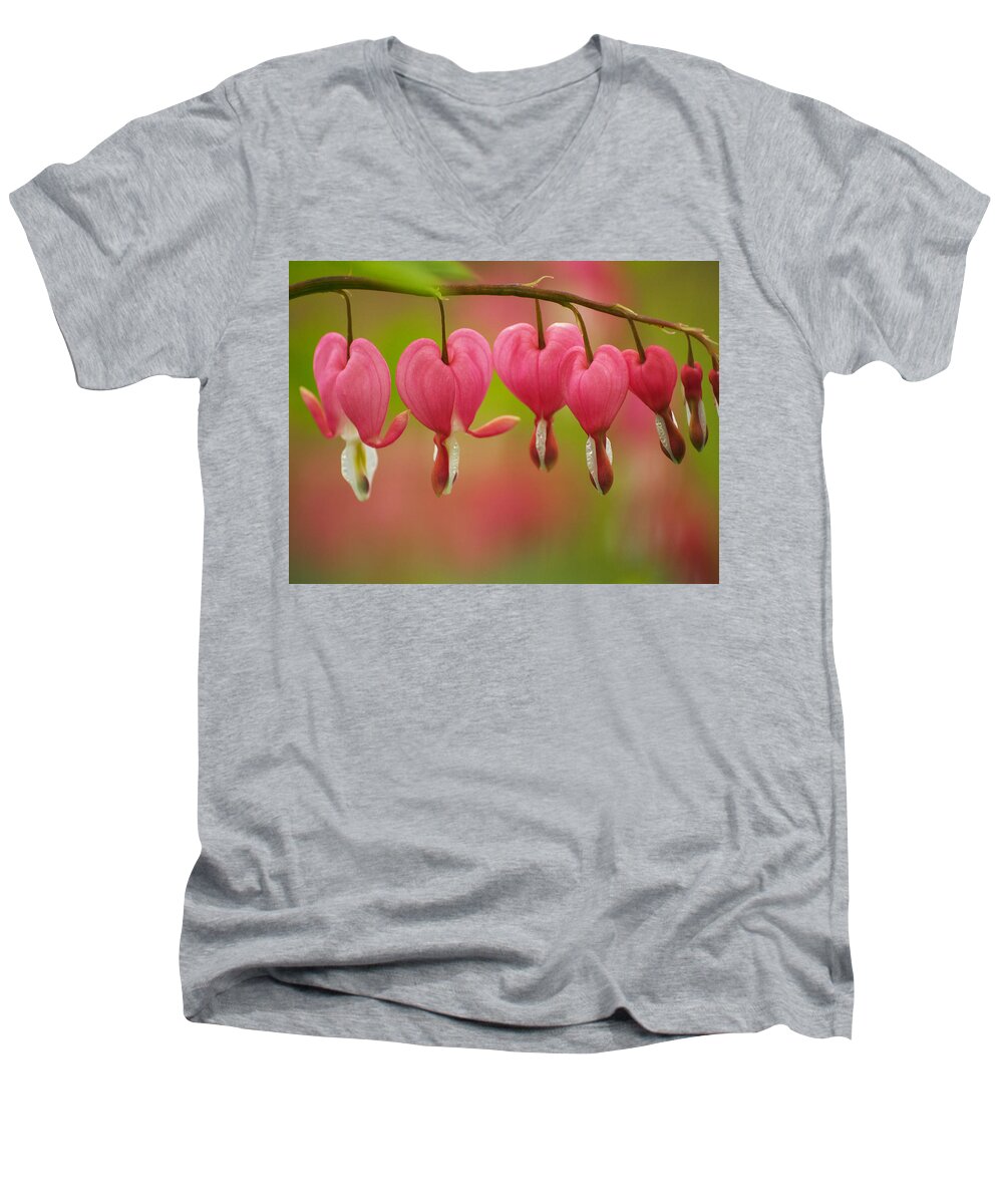 Flowers Men's V-Neck T-Shirt featuring the photograph String Of Hearts by Dorothy Lee
